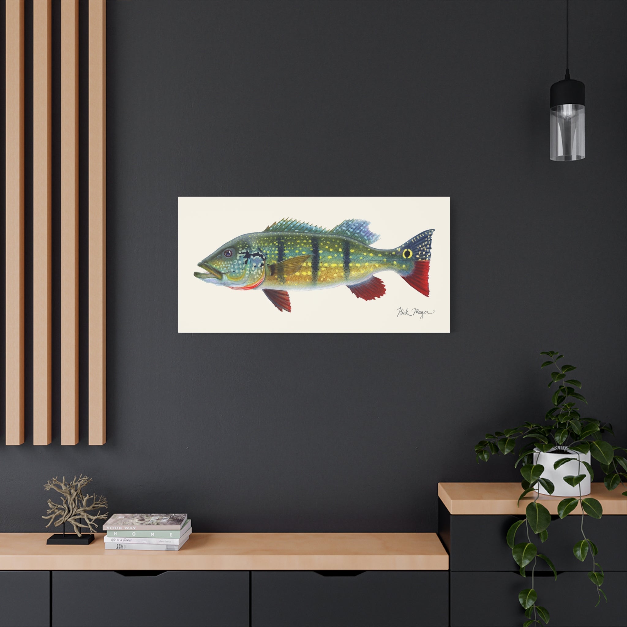 Peacock Bass Canvas Print