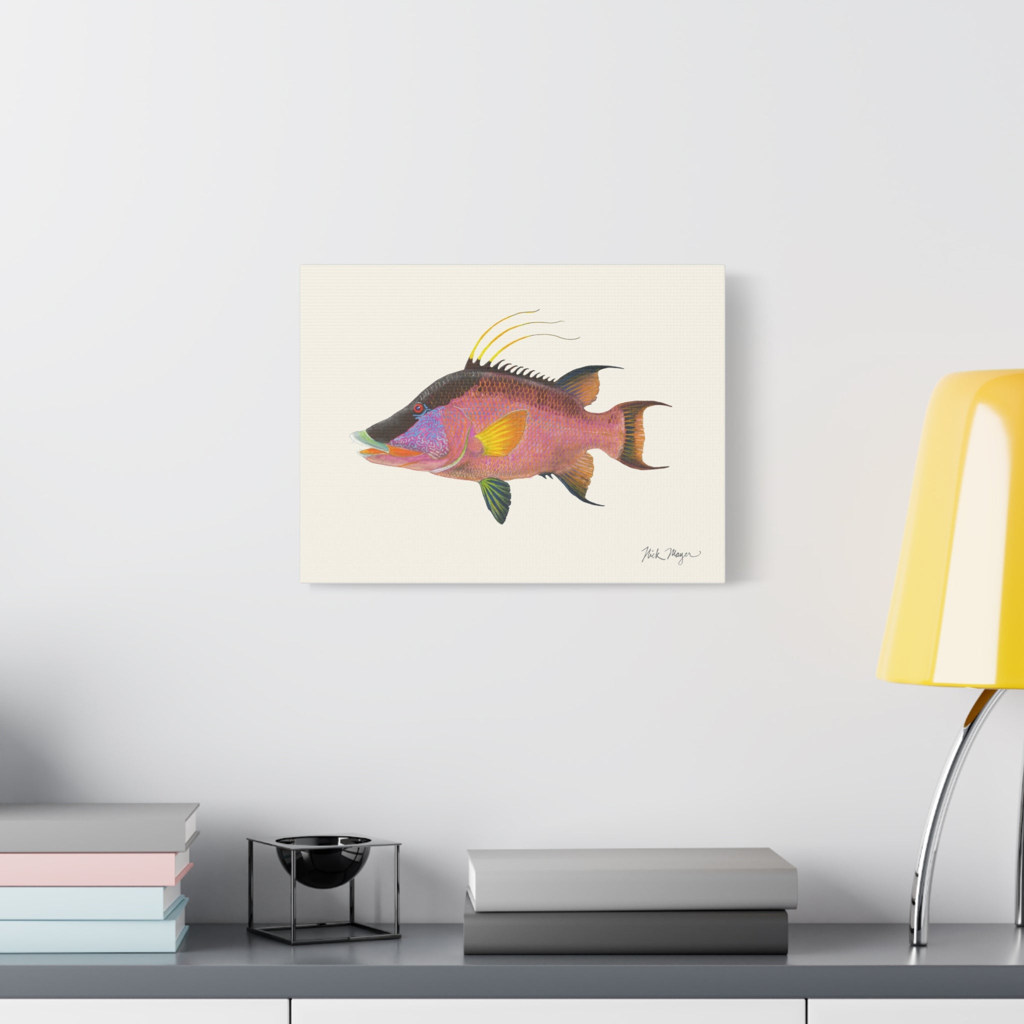 Hogfish Canvas Print