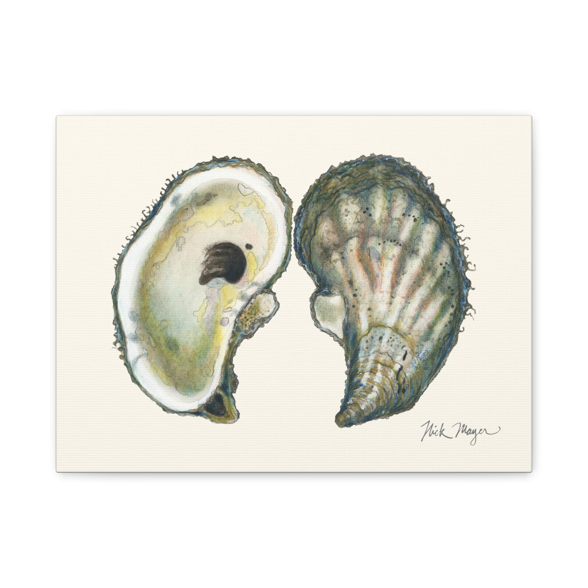Atlantic Oysters I Canvas Print