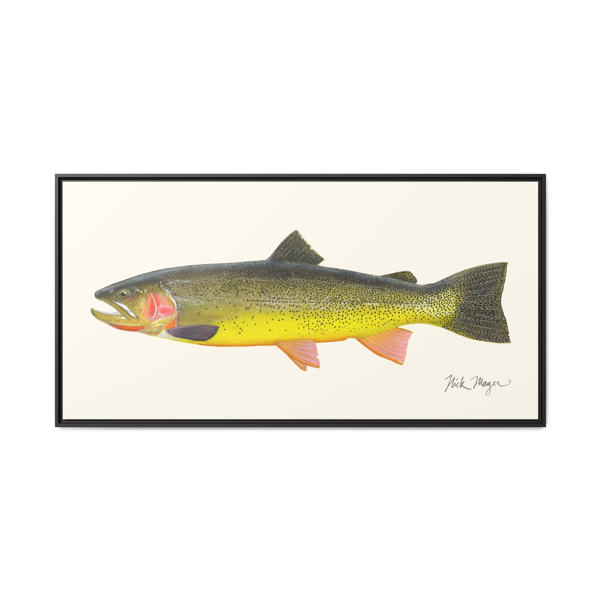 Cutthroat Trout III Framed Canvas Print Printify