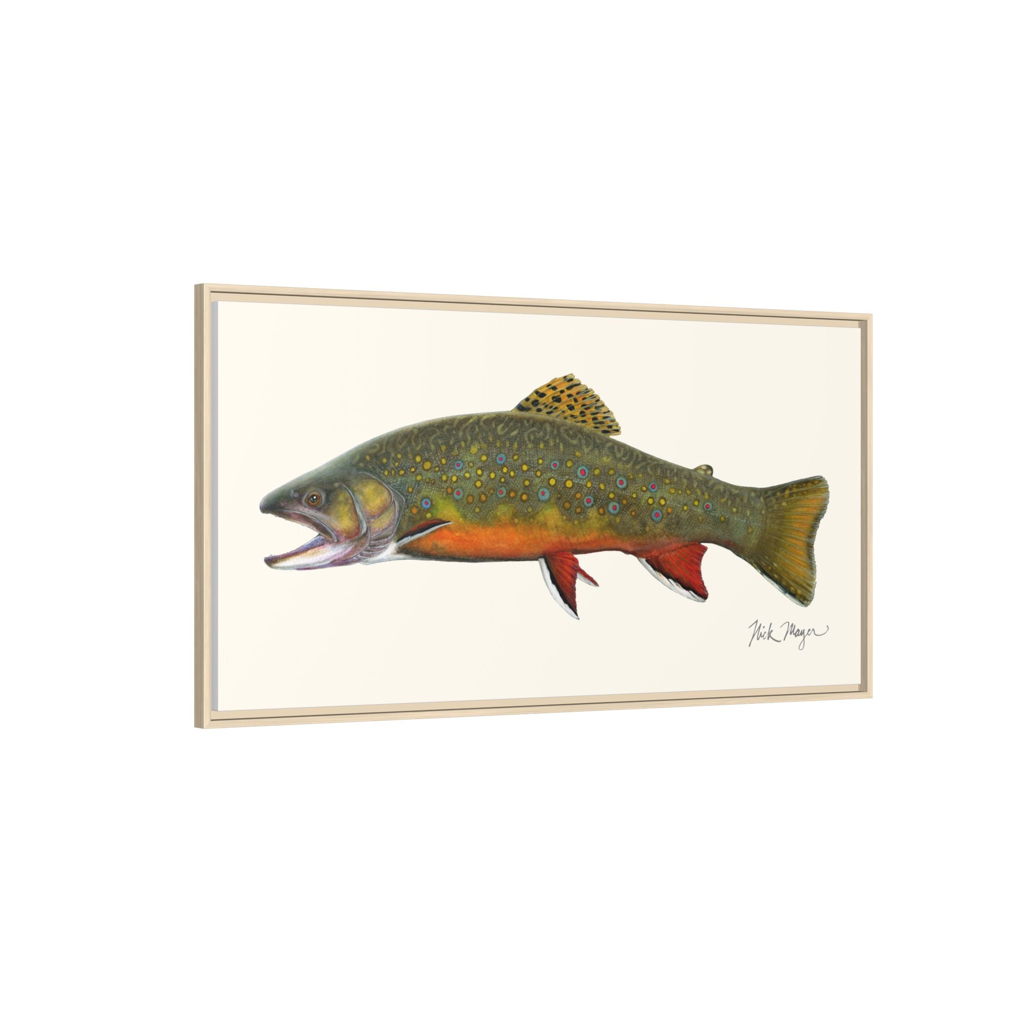 Beaver Pond Brook Trout Framed Canvas Print Printify
