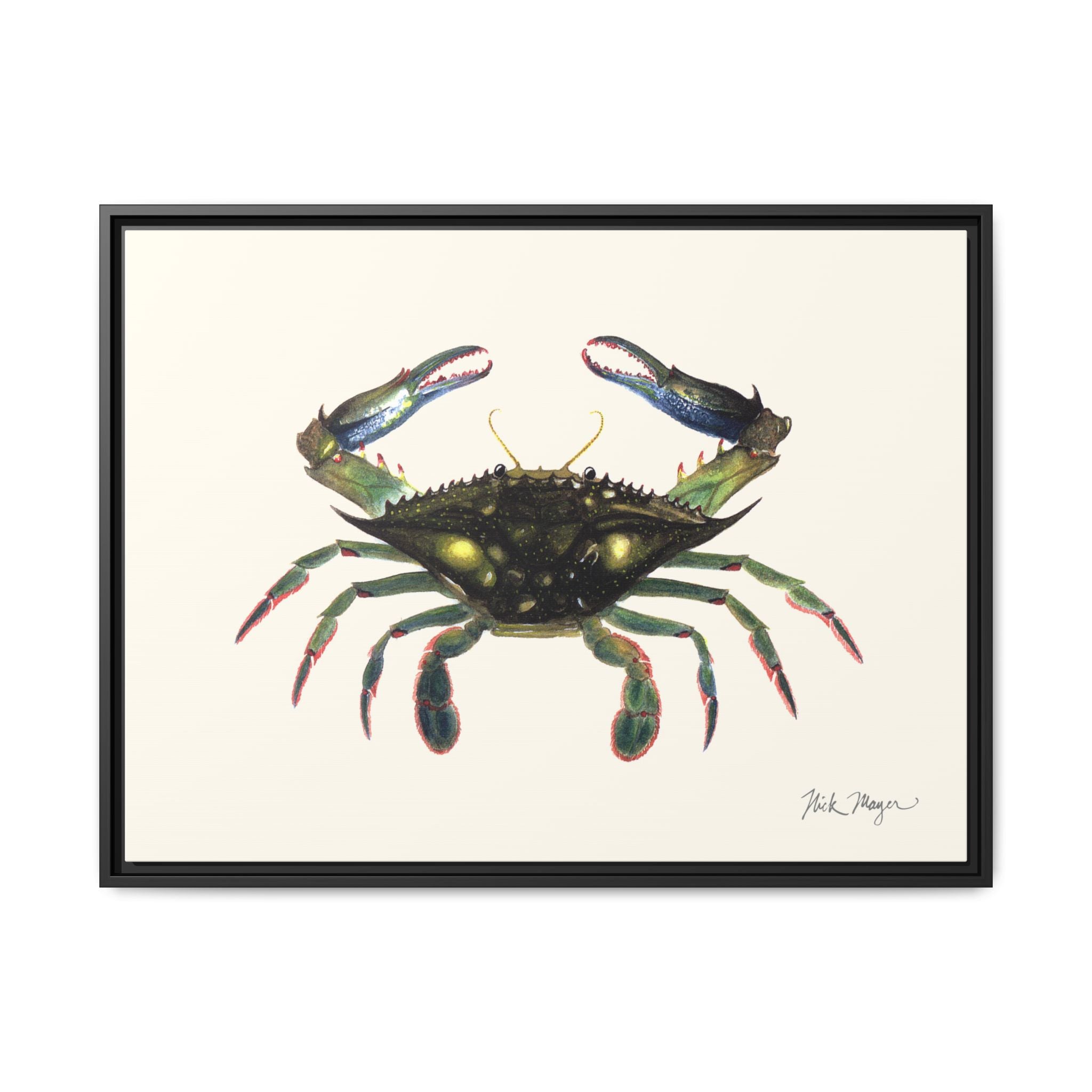 Blue Crab, Claws in Framed Canvas Print Printify