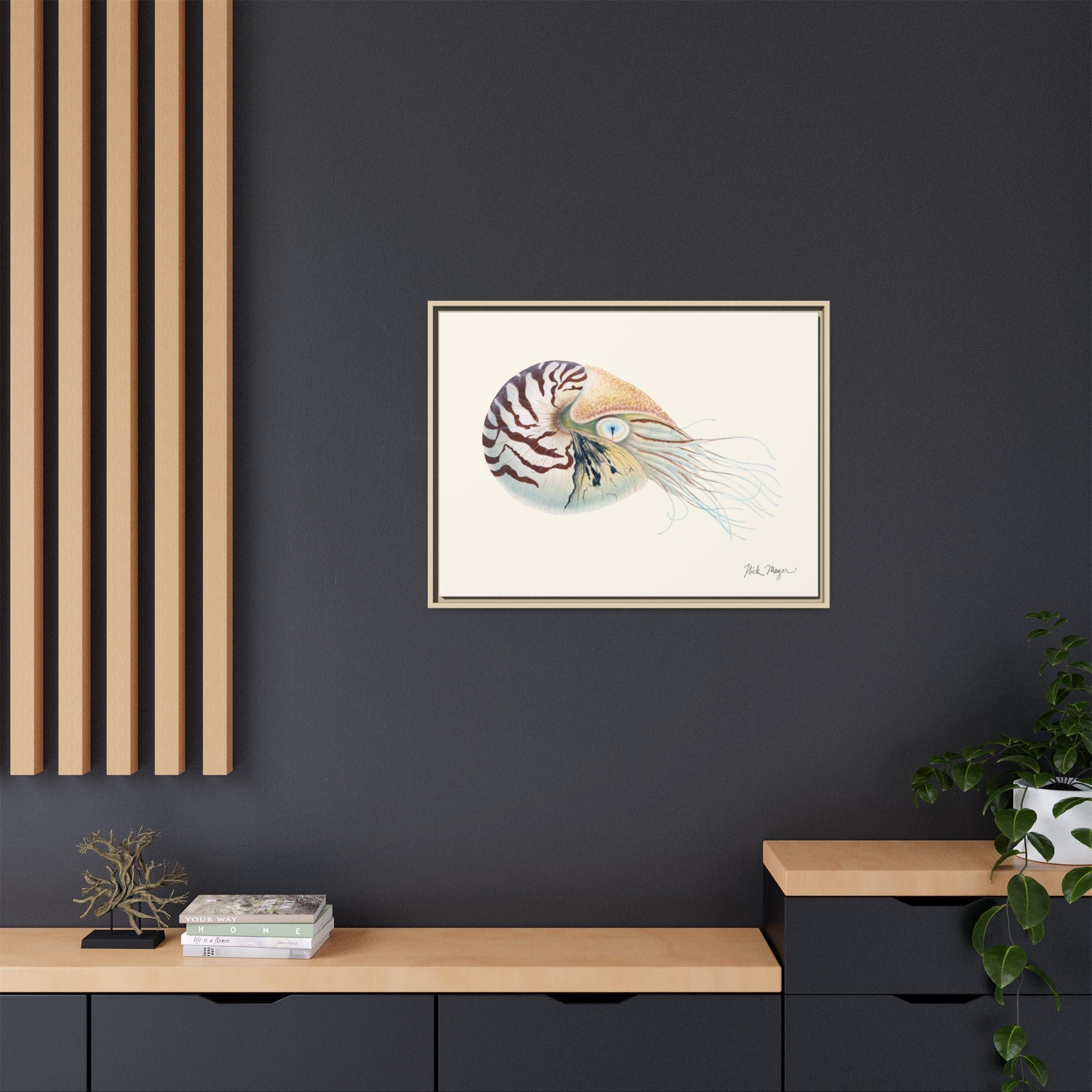 Chambered Nautilus Framed Canvas Print Printify
