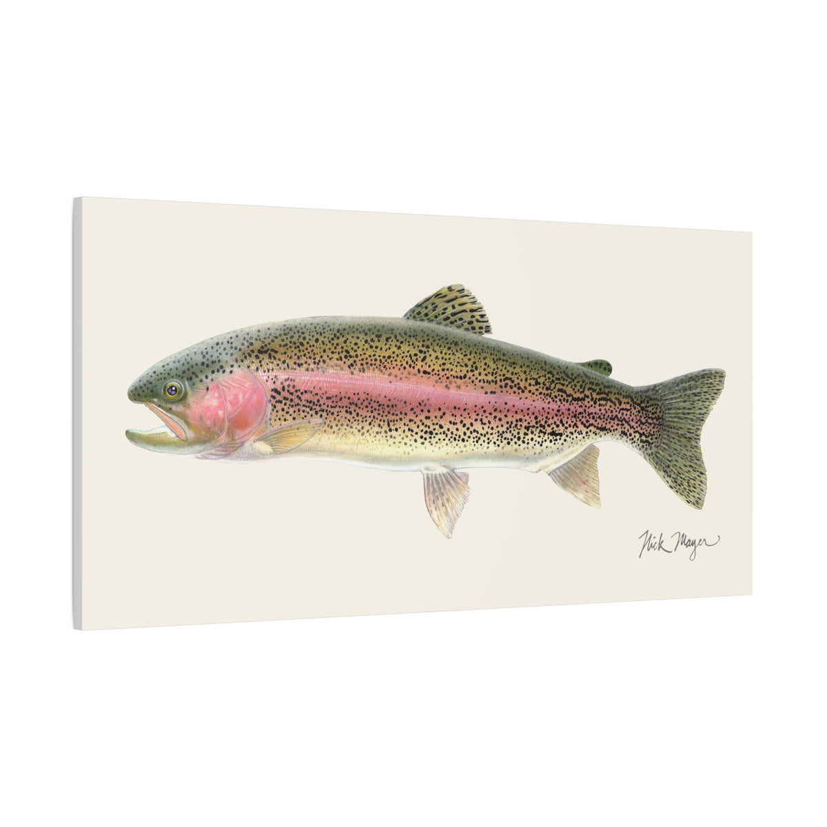 Rainbow Trout Canvas Print Printify