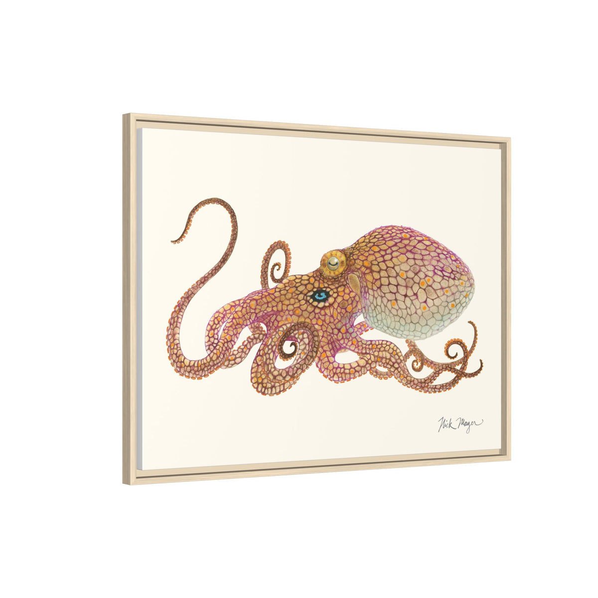 Two Spot Octopus Framed Canvas Print Printify