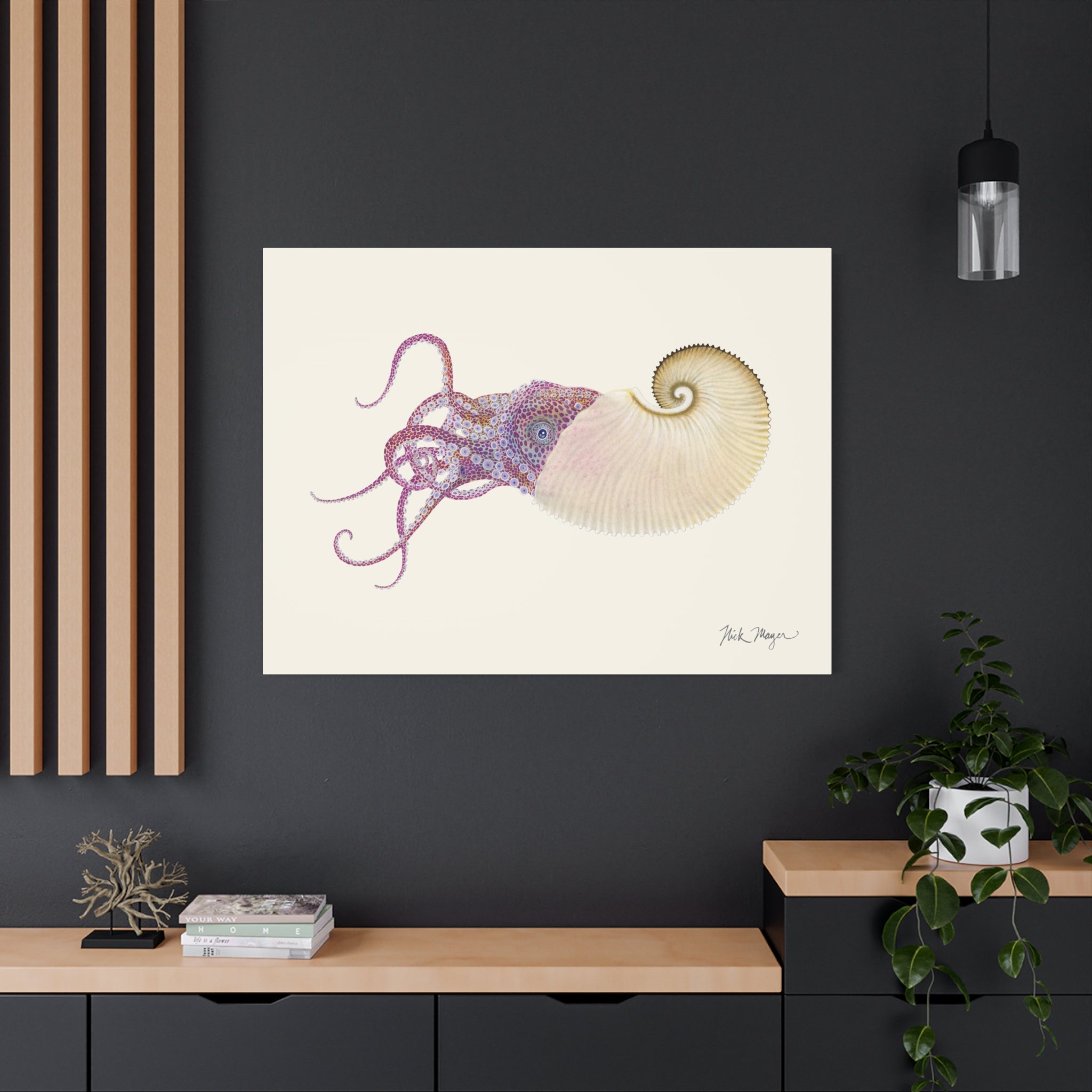 Paper Nautilus Canvas Print