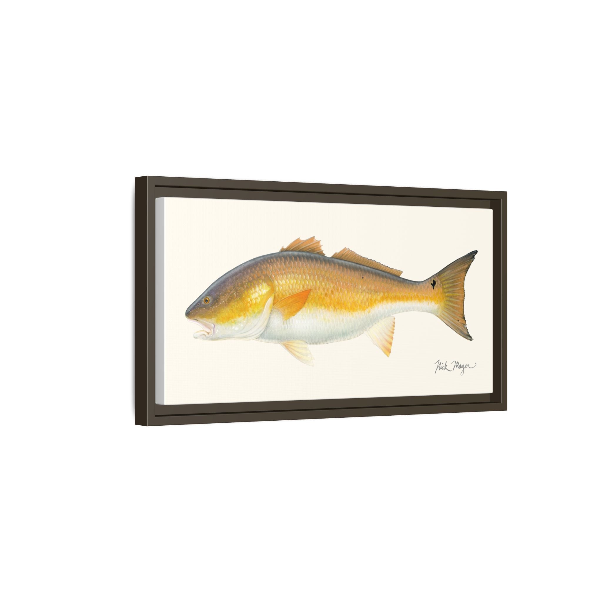 Bull Redfish Framed Canvas Print Printify