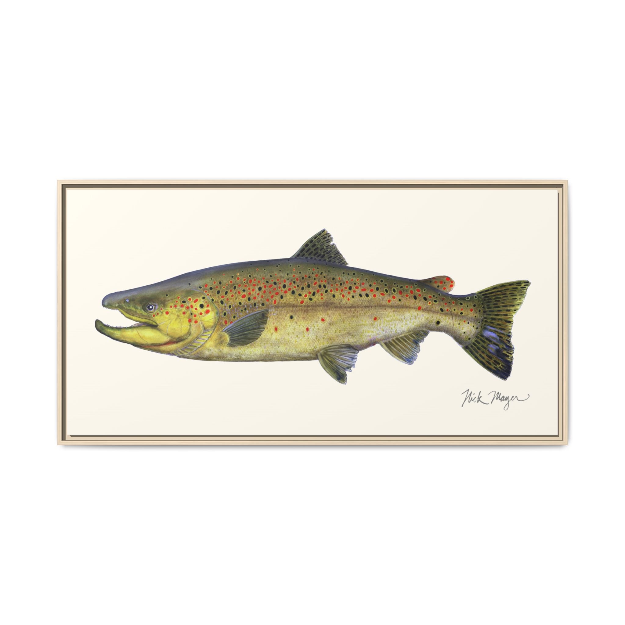 Brown Trout I Framed Canvas Print Printify