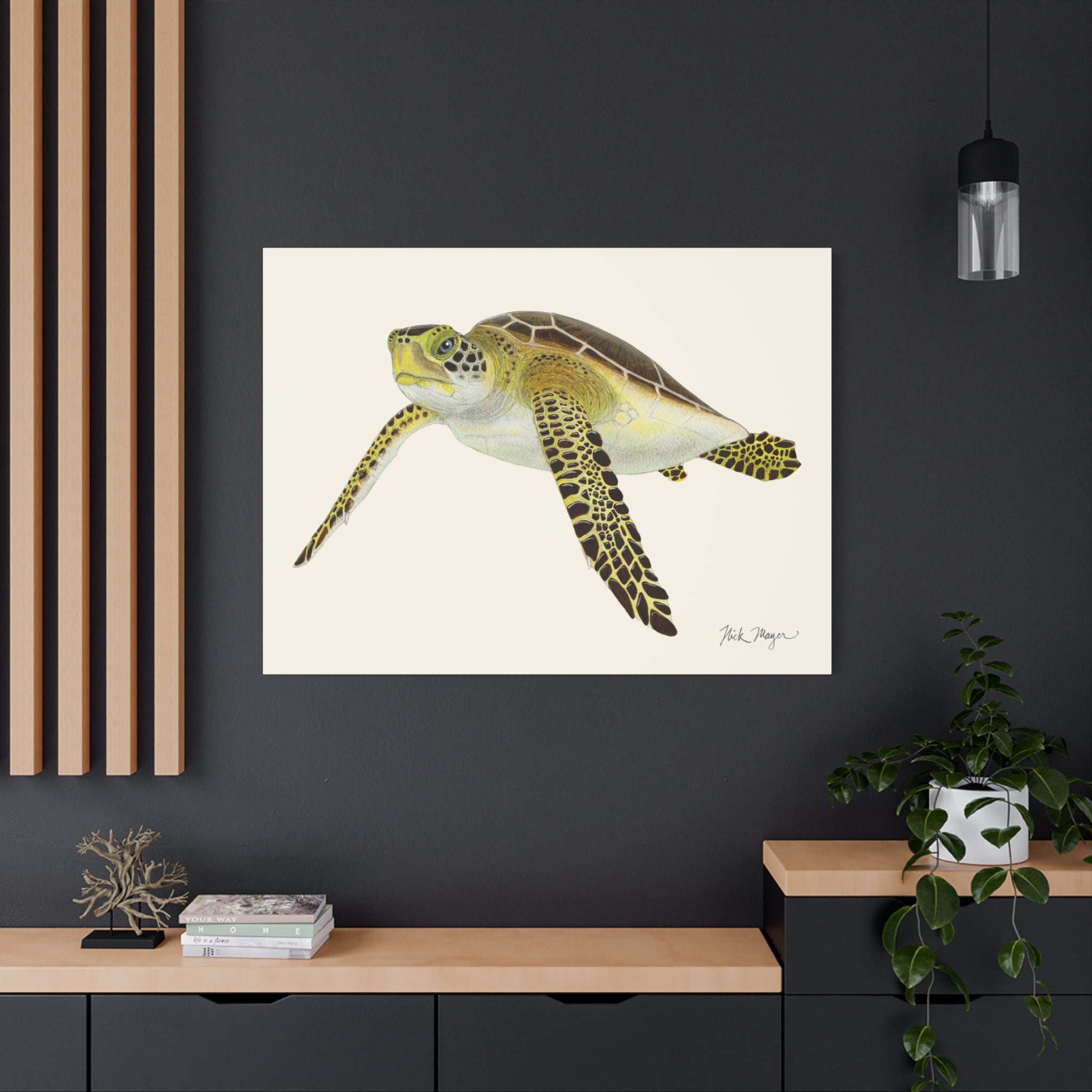 Juvenile Green Sea Turtle III Canvas Print