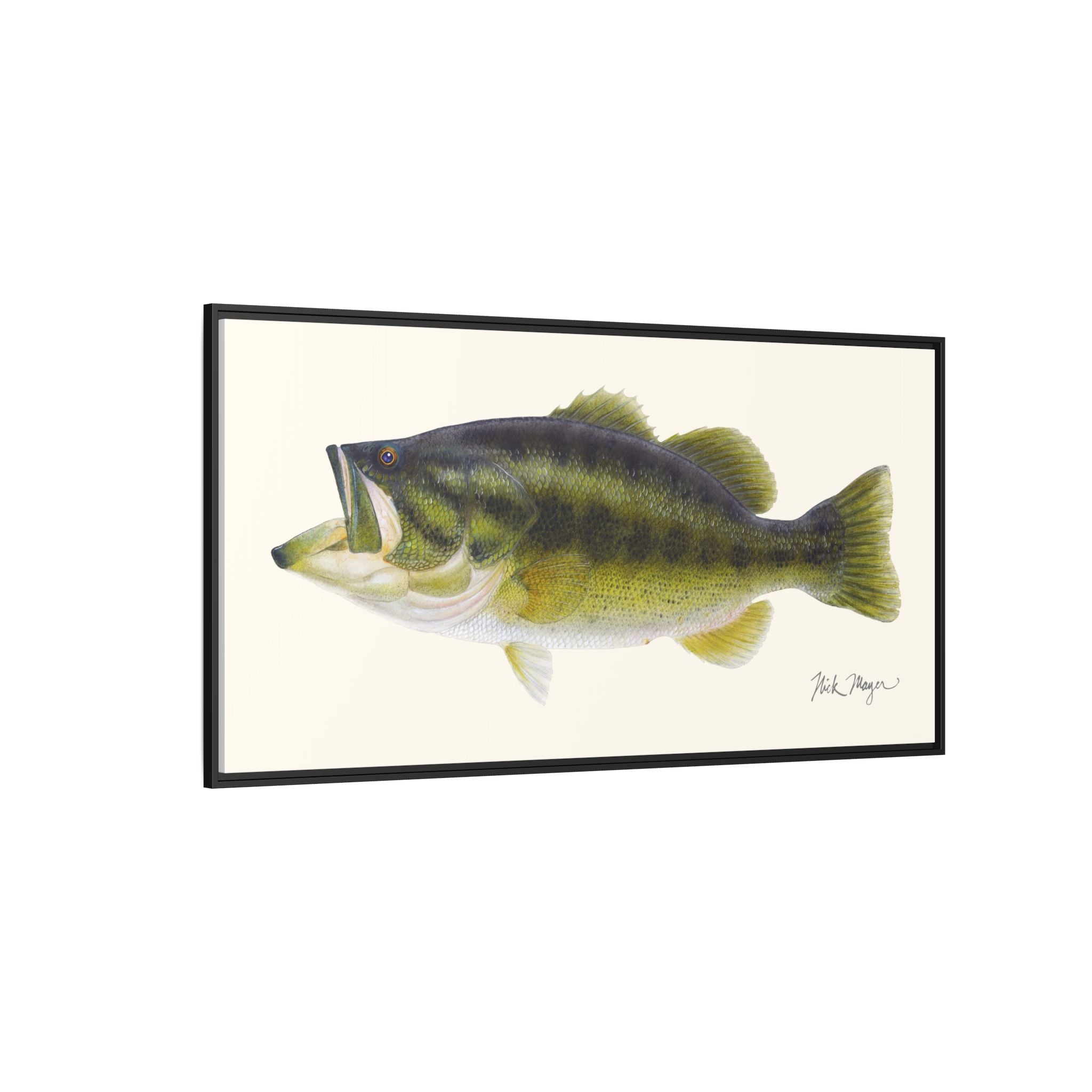 Largemouth Bass I Framed Canvas Print Printify