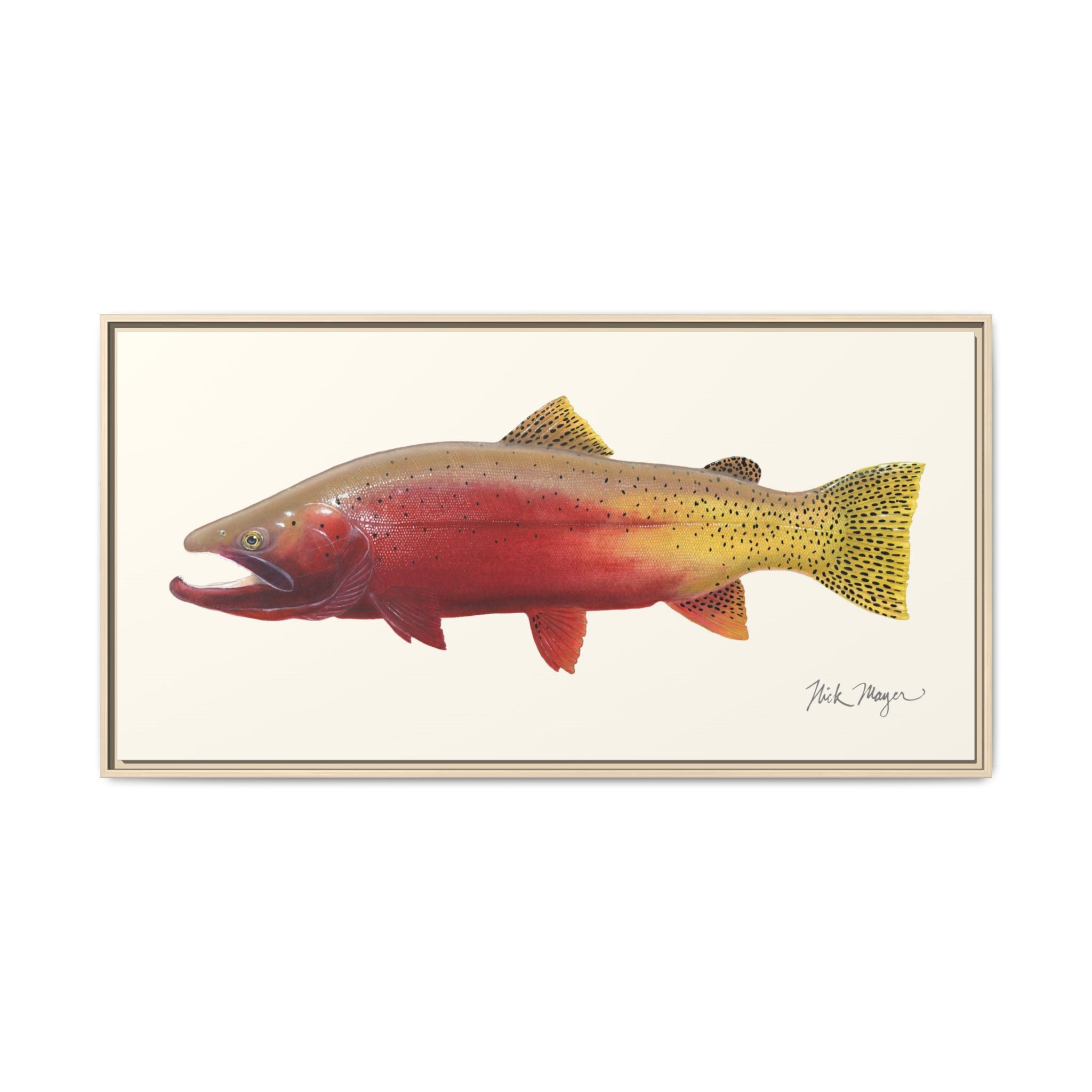 Cutthroat Trout II Framed Canvas Print Printify