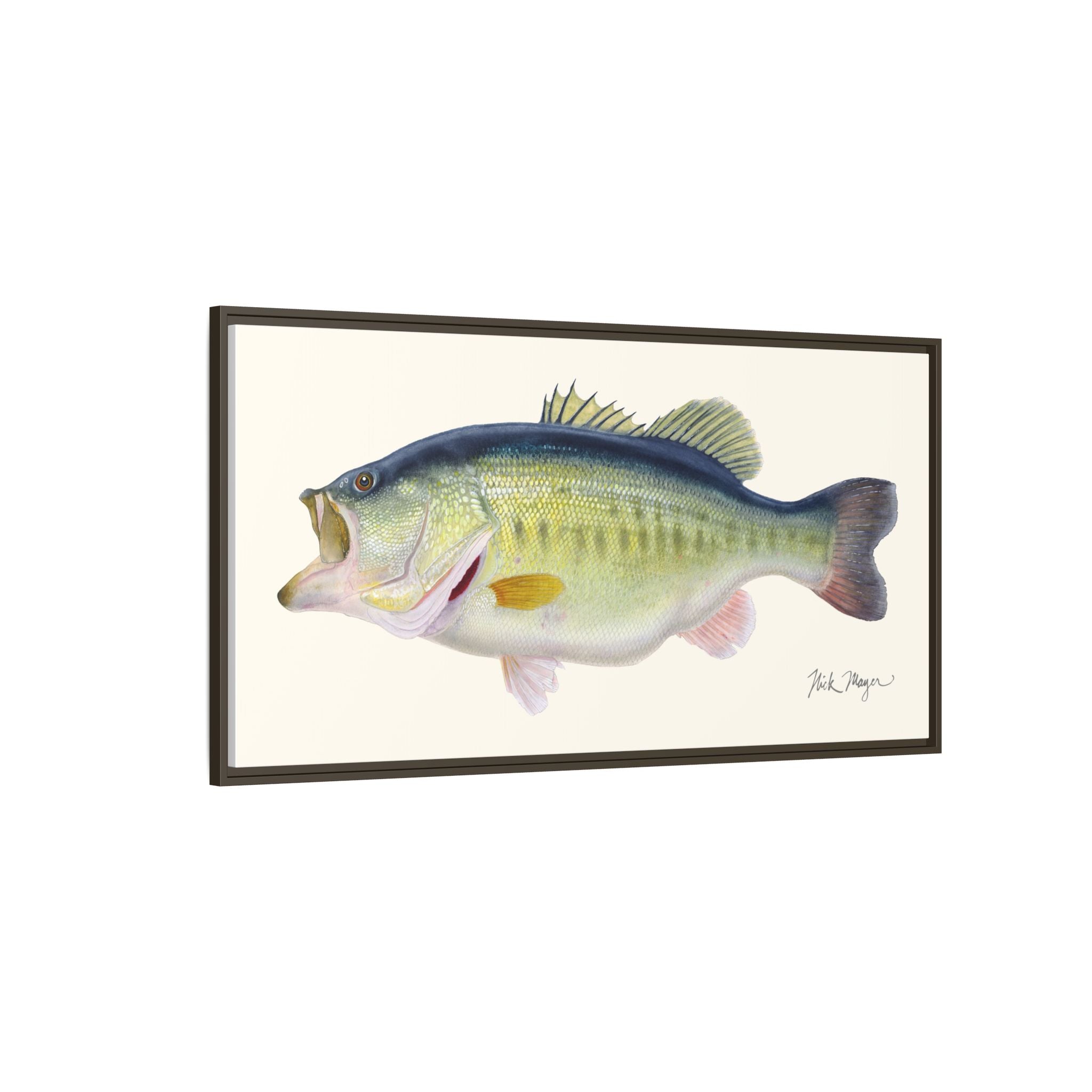 Largemouth Bass 3 Framed Canvas Print