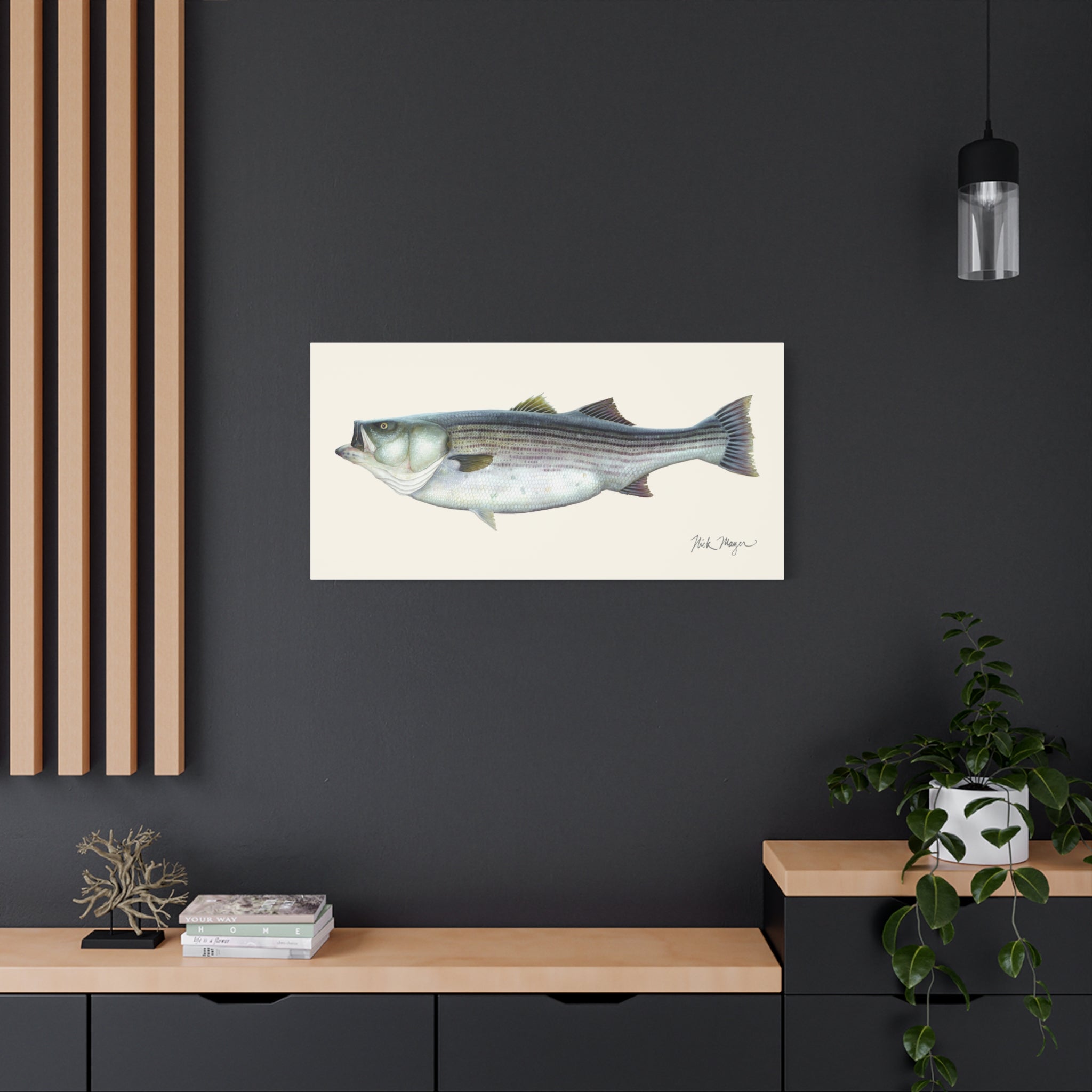 Striped Bass 60 lbs Canvas Print