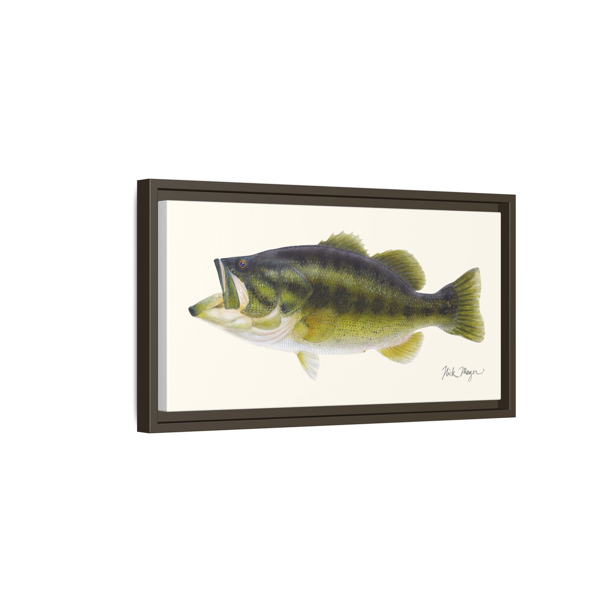 Largemouth Bass I Framed Canvas Print Printify