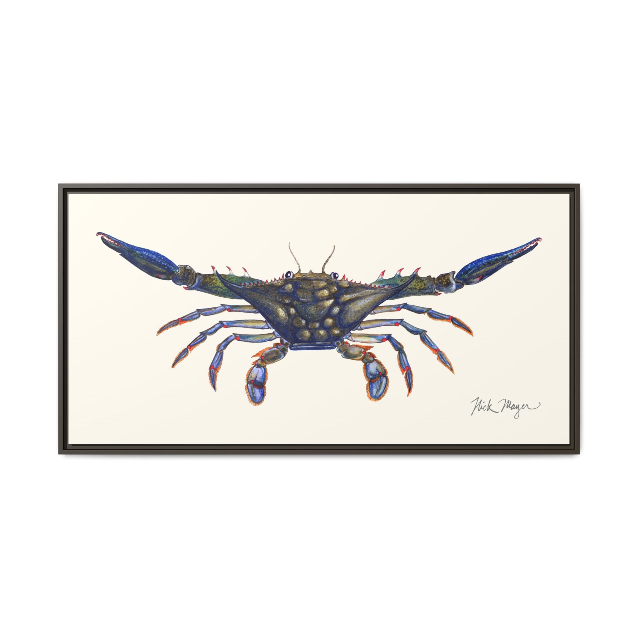 Blue Crab, Claws Out Framed Canvas Print Printify