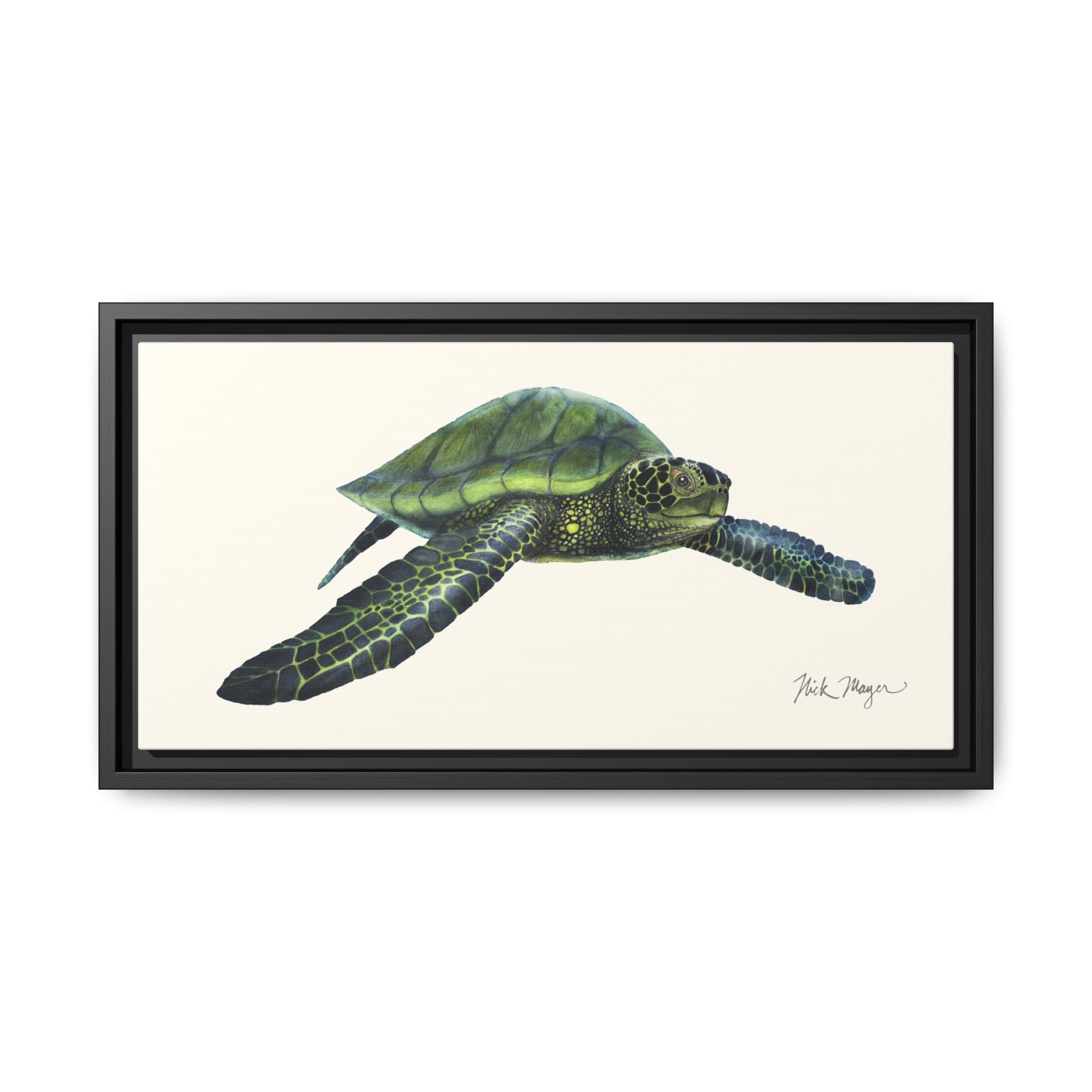 Green Sea Turtle I Framed Canvas Print Printify