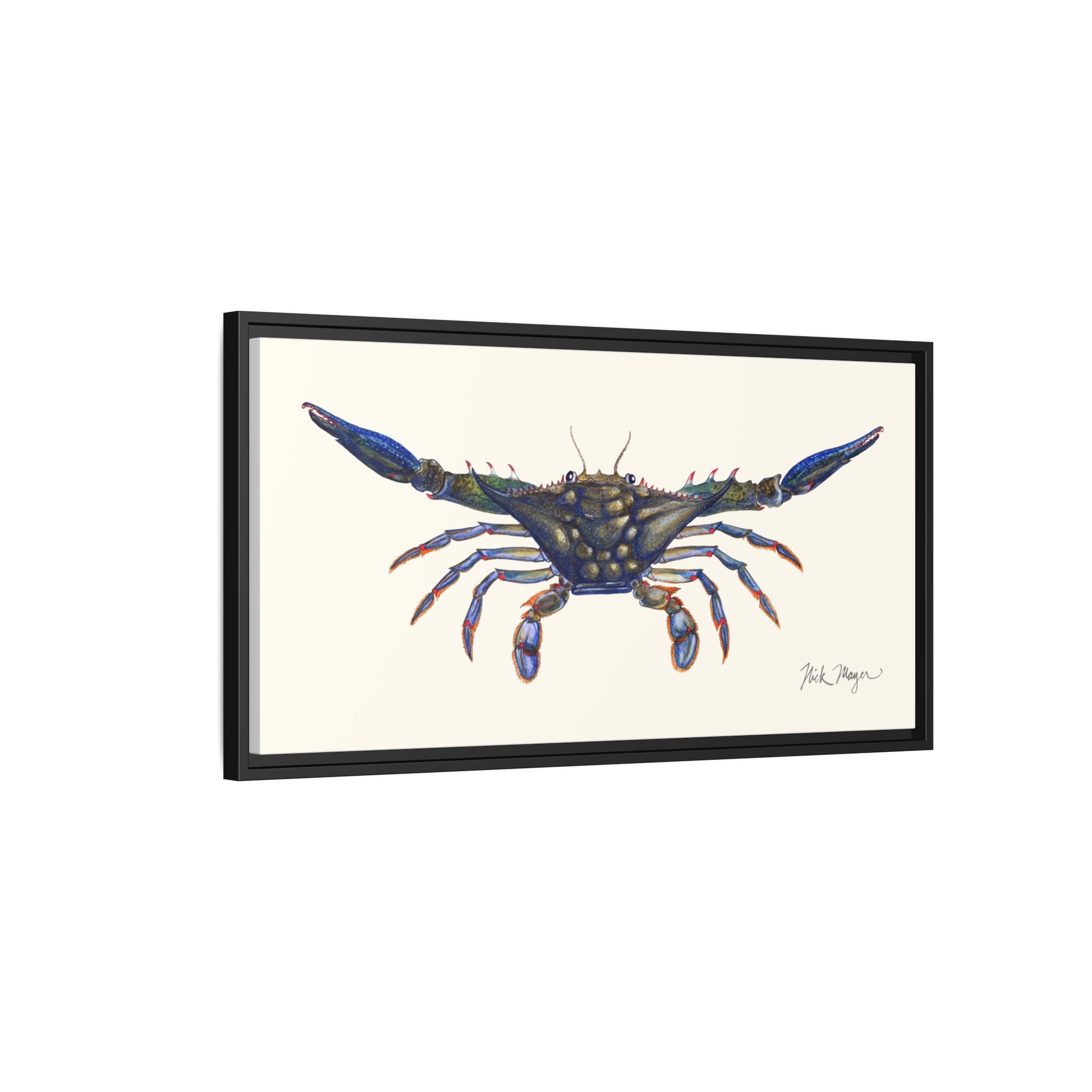 Blue Crab, Claws Out Framed Canvas Print Printify