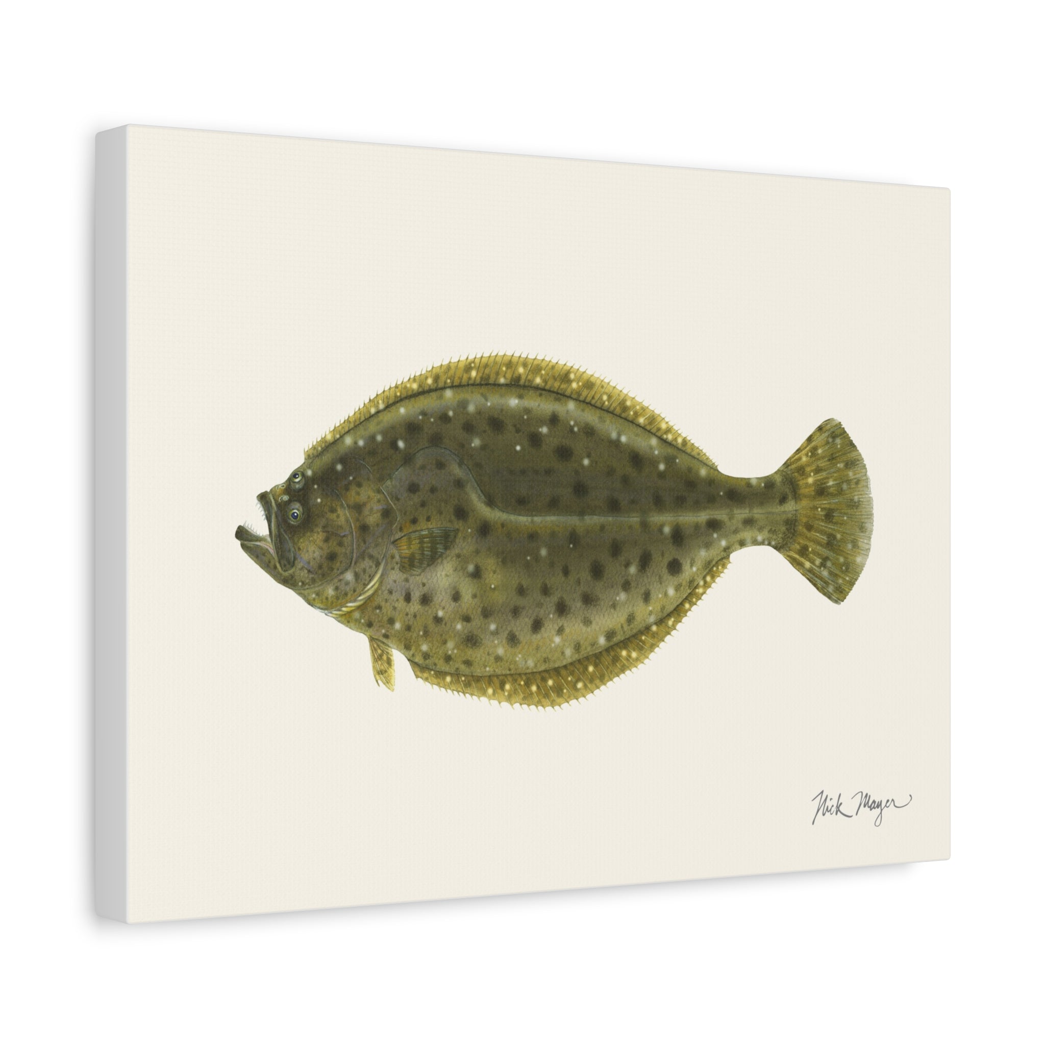 Fluke Canvas Print