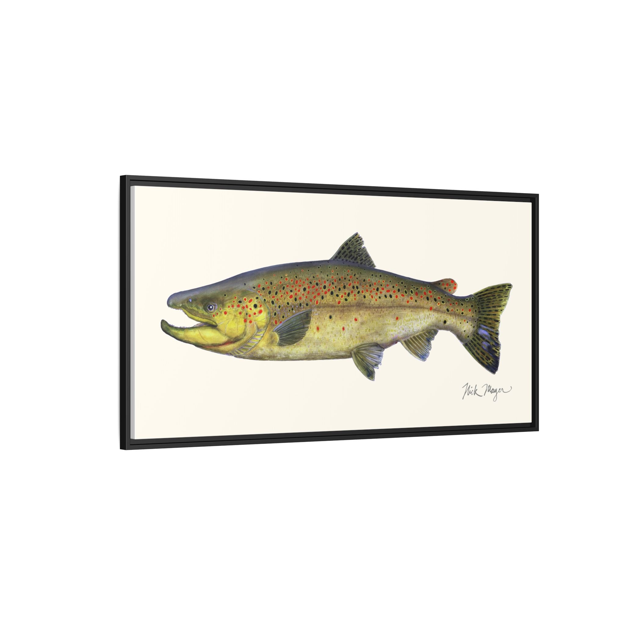 Brown Trout I Framed Canvas Print Printify