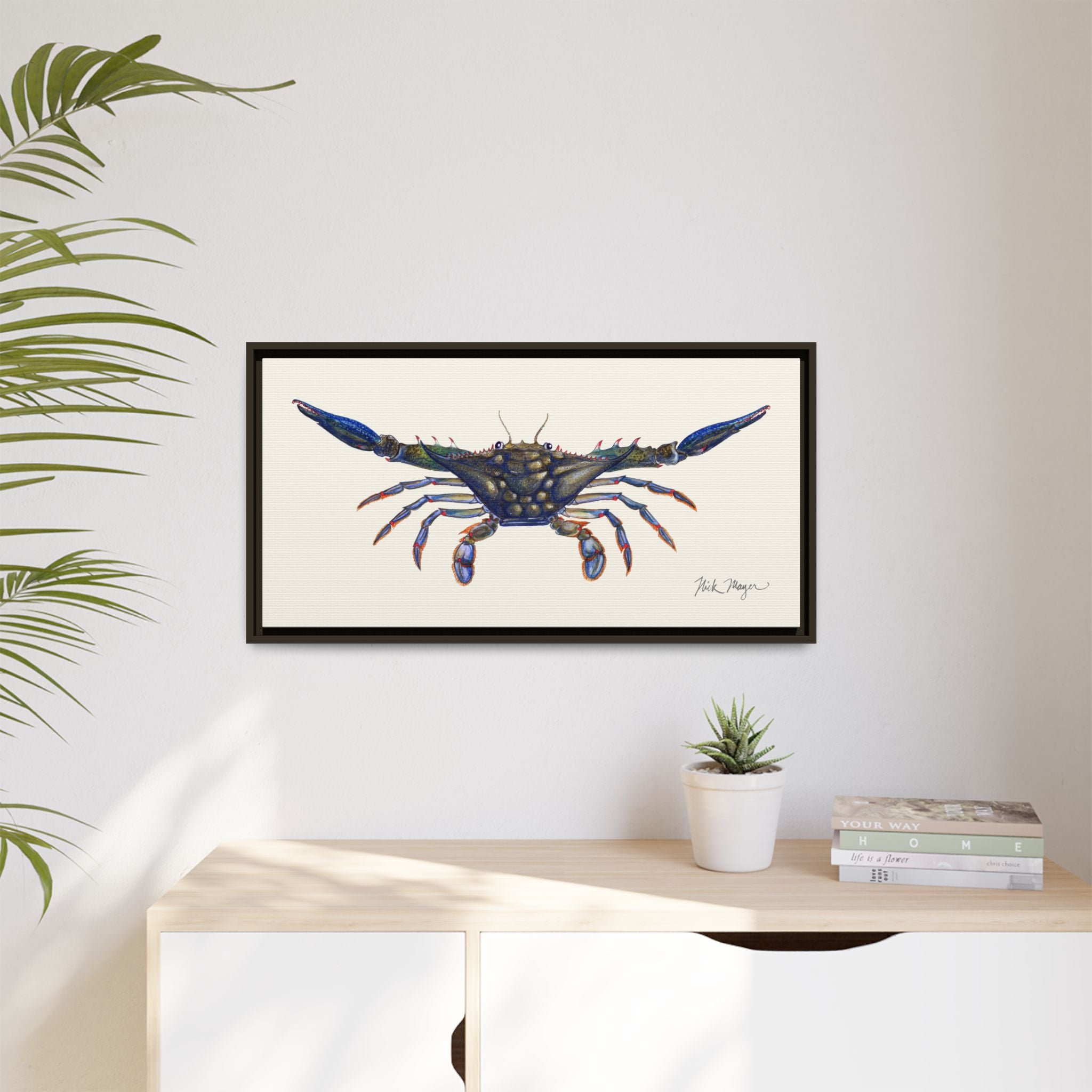 Blue Crab, Claws Out Framed Canvas Print Printify