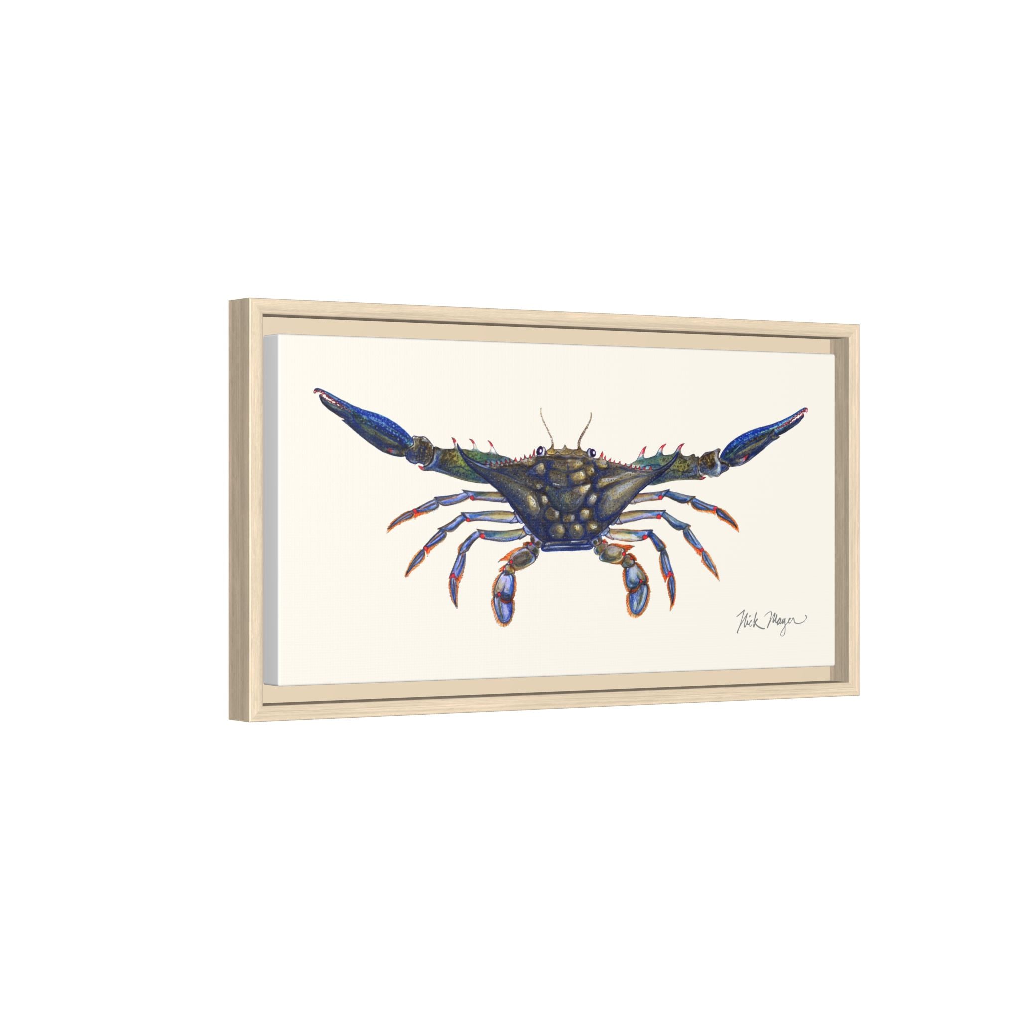 Blue Crab, Claws Out Framed Canvas Print Printify
