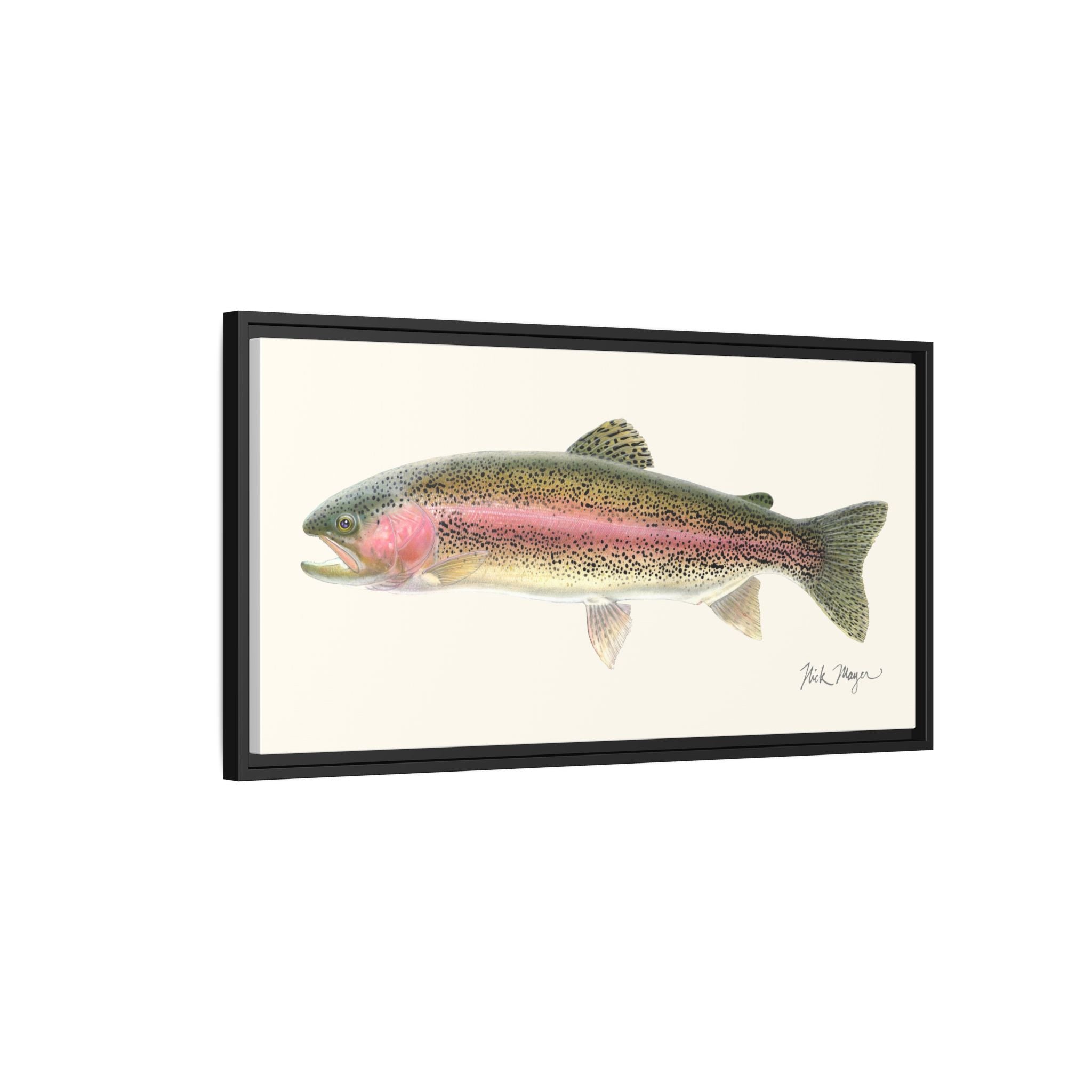 Rainbow Trout Framed Canvas Print Printify