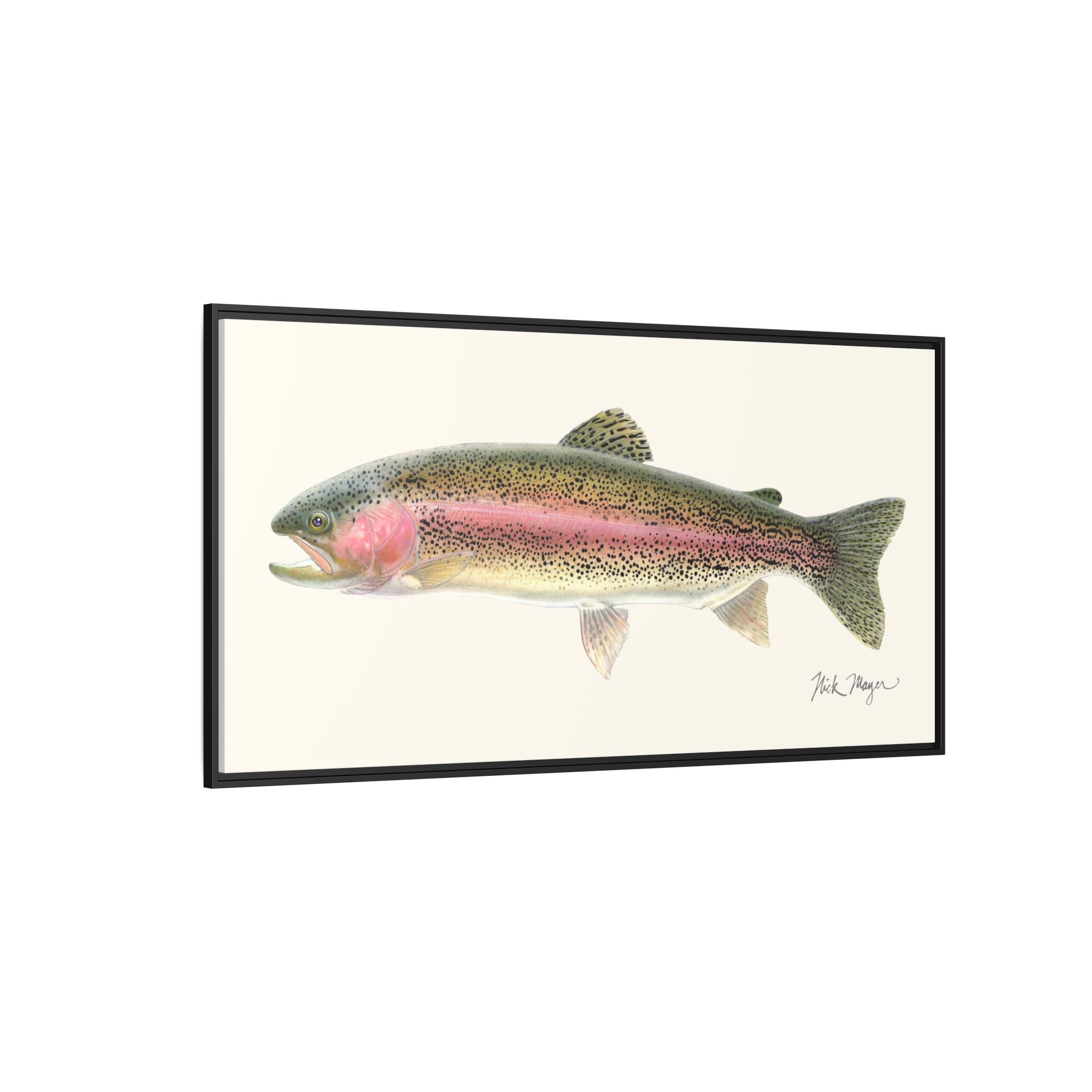 Rainbow Trout Framed Canvas Print Printify
