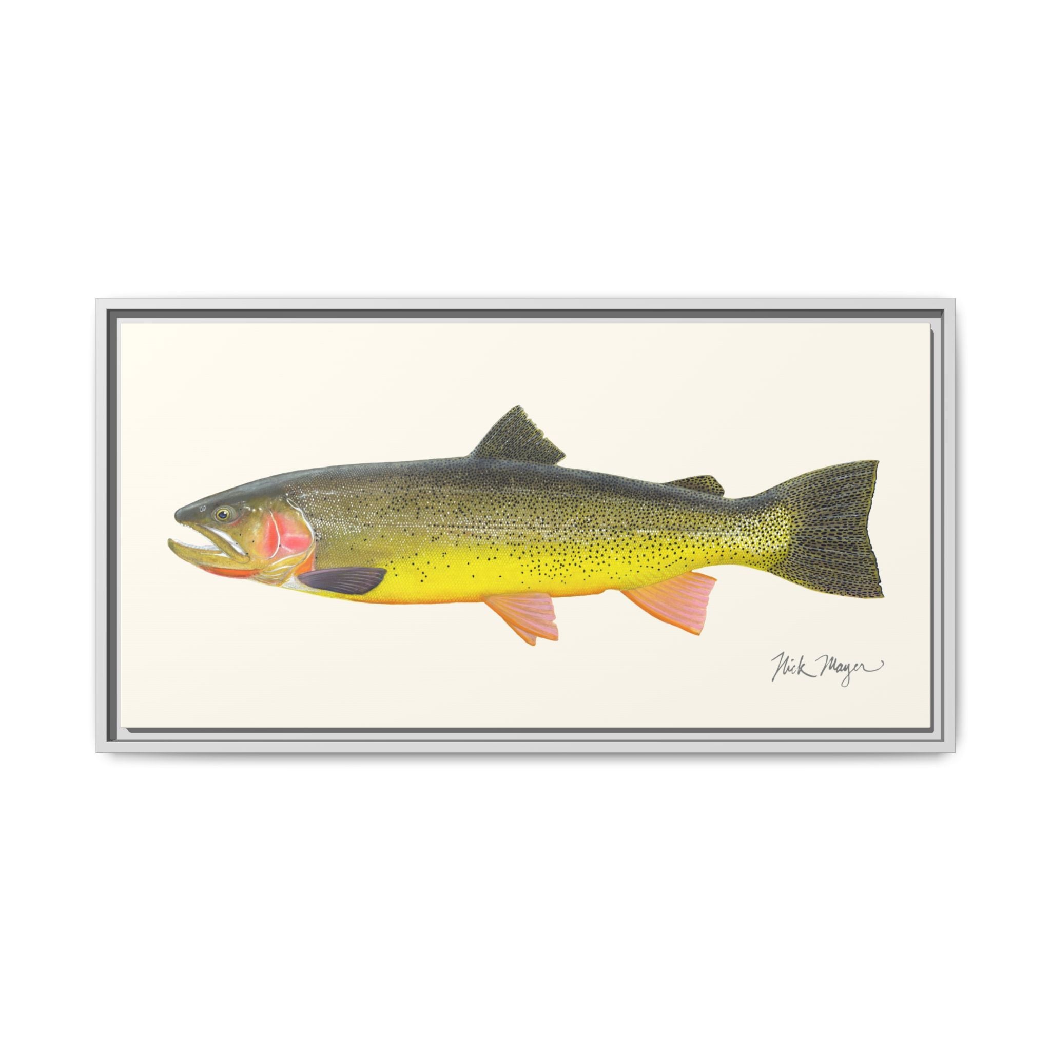 Cutthroat Trout III Framed Canvas Print Printify