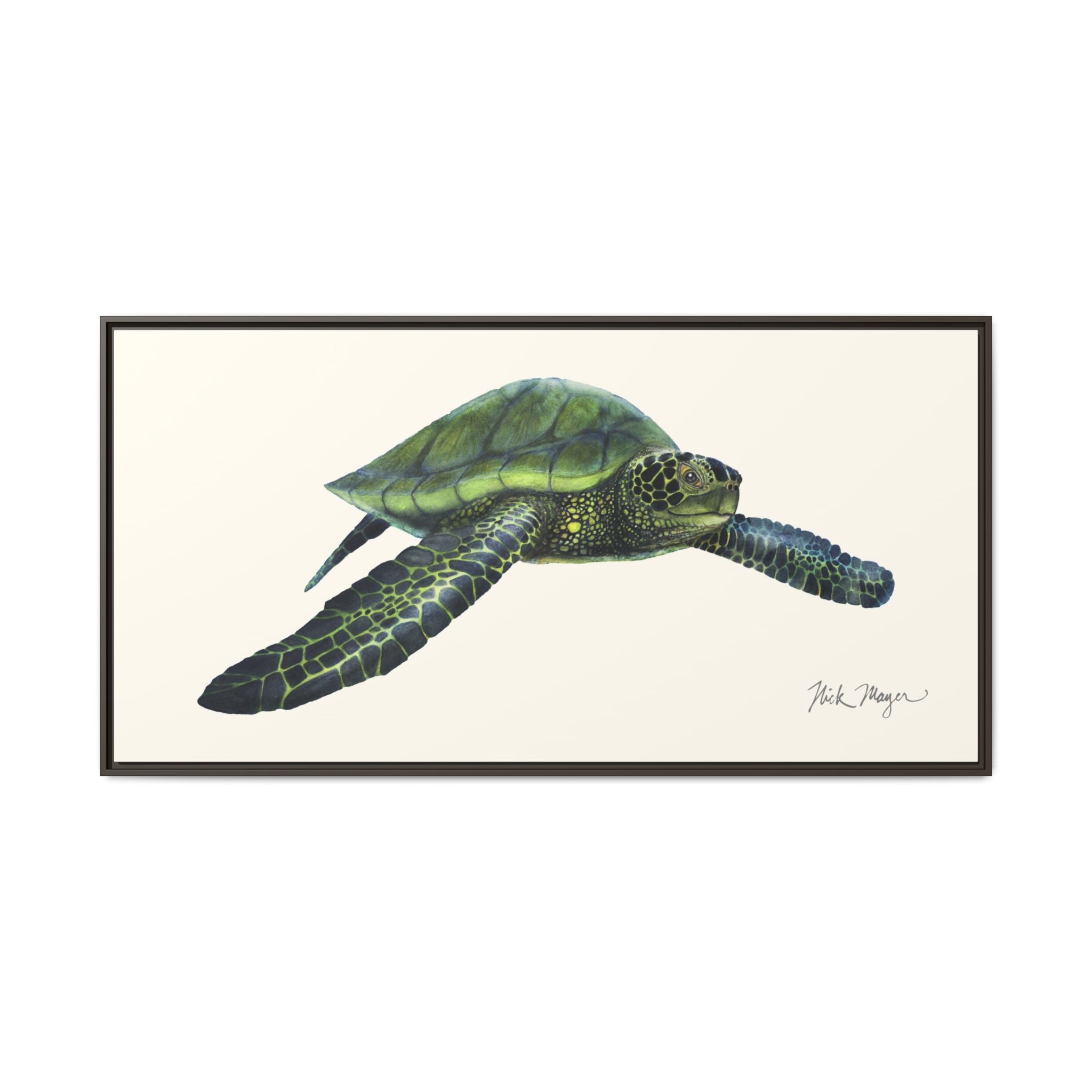 Green Sea Turtle I Framed Canvas Print Printify