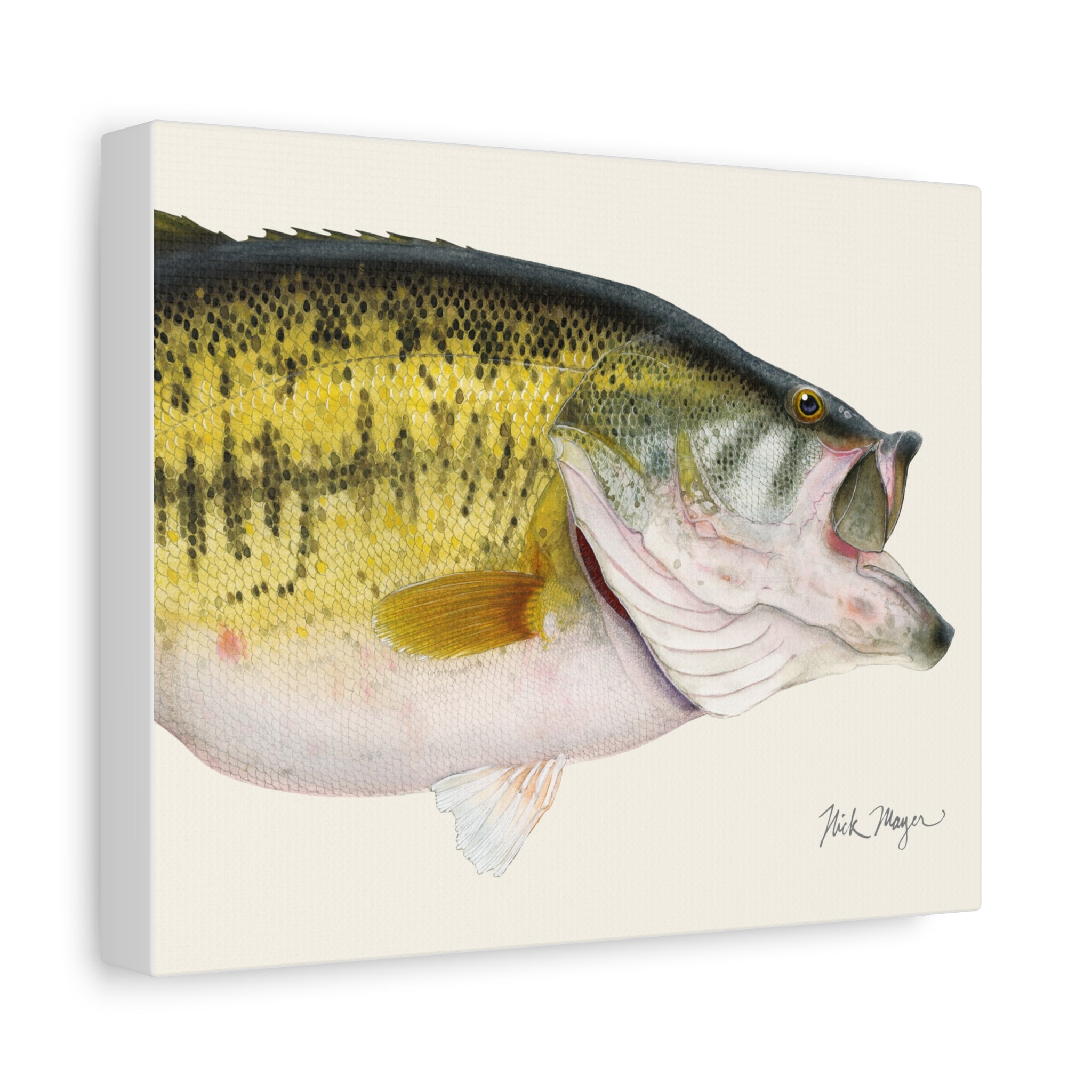Largemouth Bass II Detail Mini Canvas Print