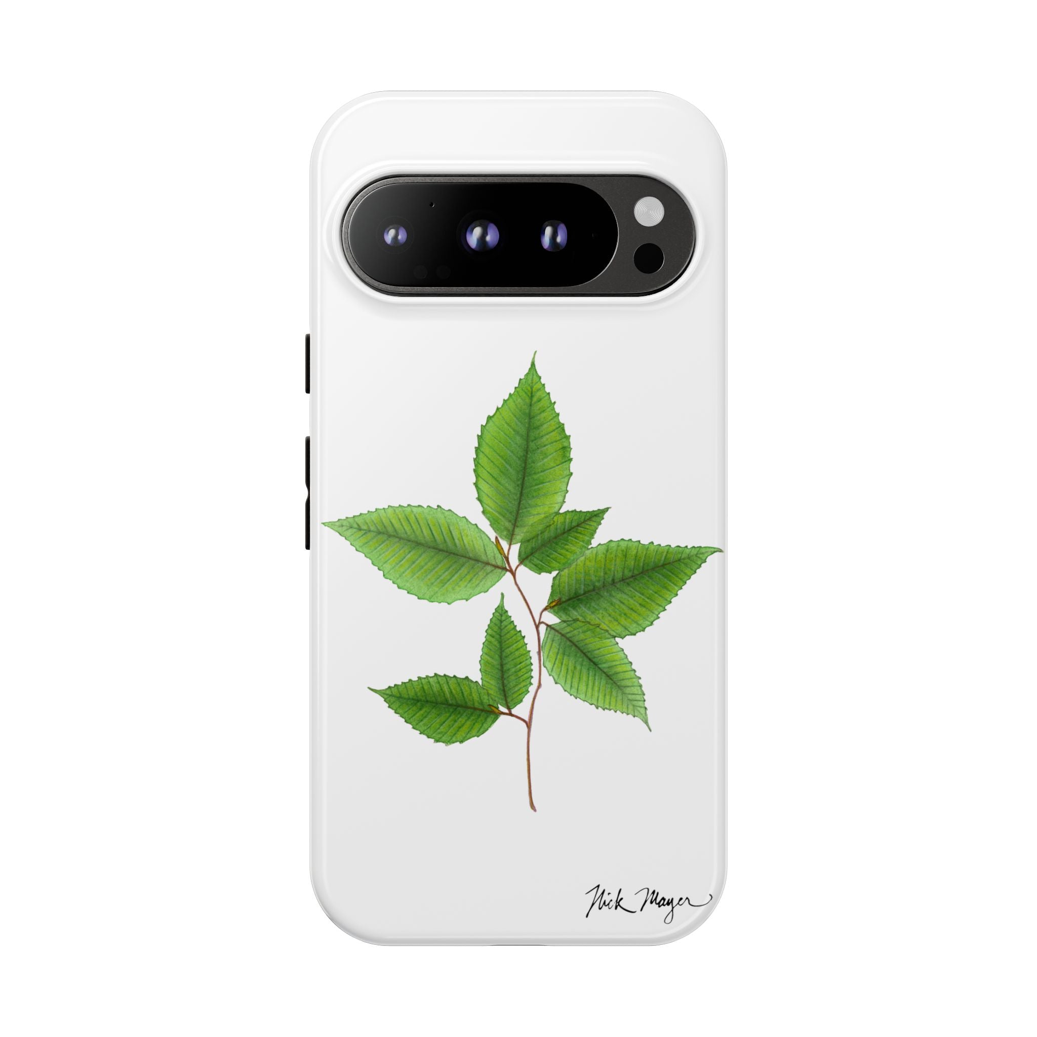 American Beech Phone Case (Samsung)