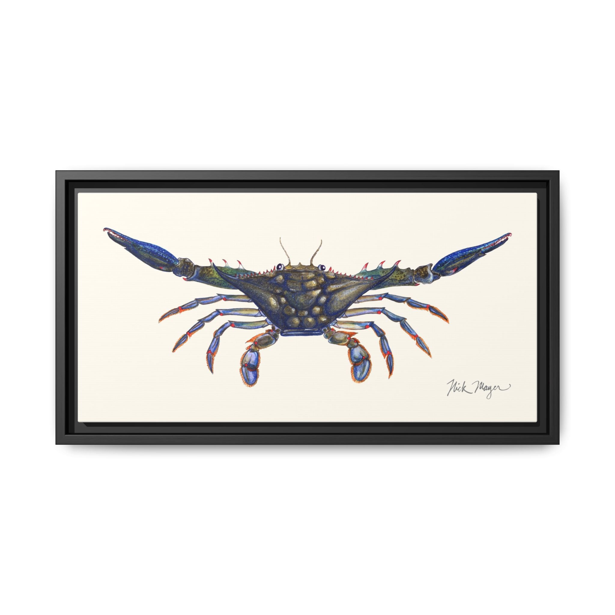 Blue Crab, Claws Out Framed Canvas Print Printify