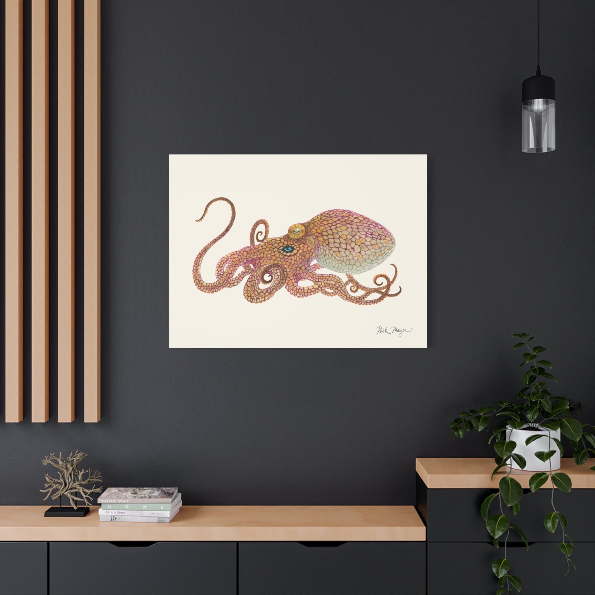 California Two Spot Octopus Canvas Print
