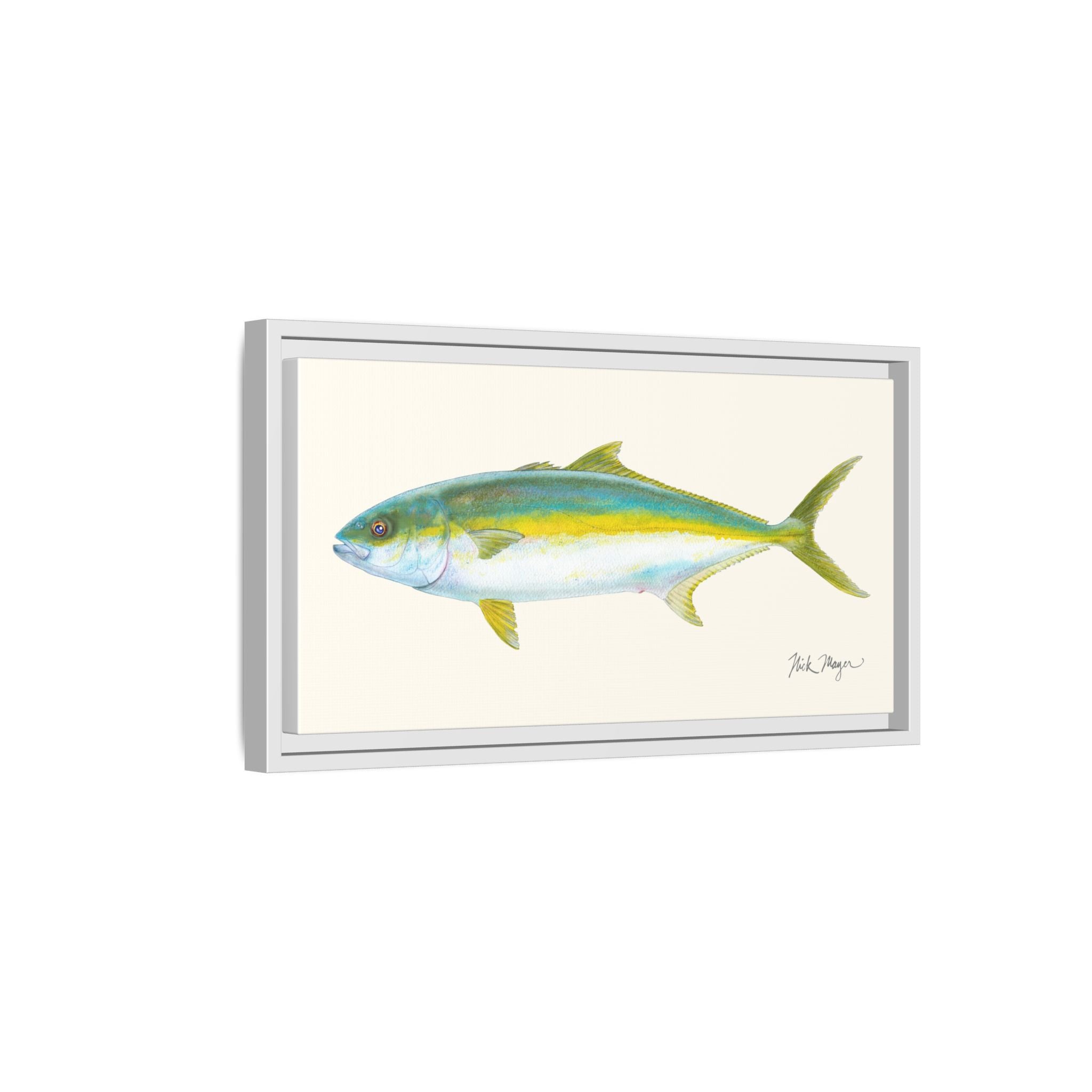 California Yellowtail I Framed Canvas Print Printify