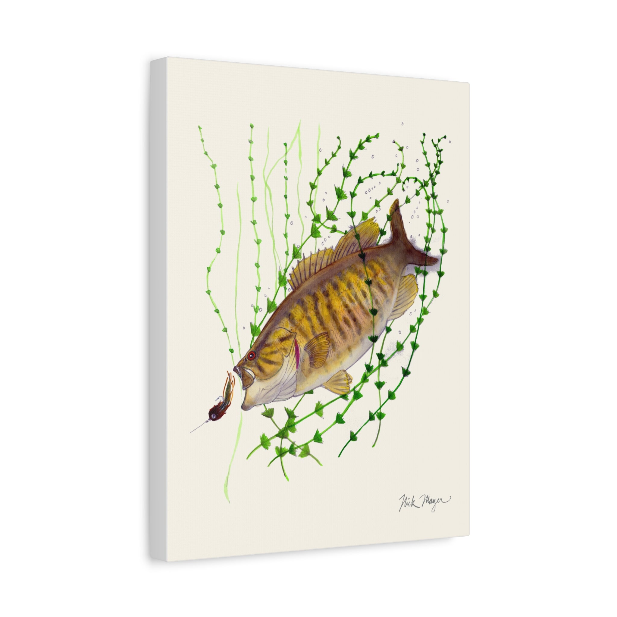 Bronzeback Smallmouth Bass Canvas Print