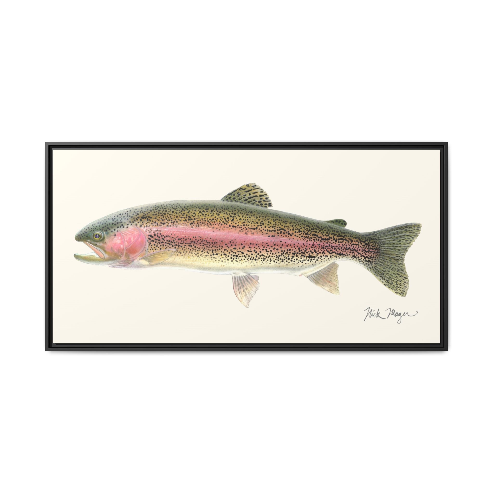Rainbow Trout Framed Canvas Print Printify