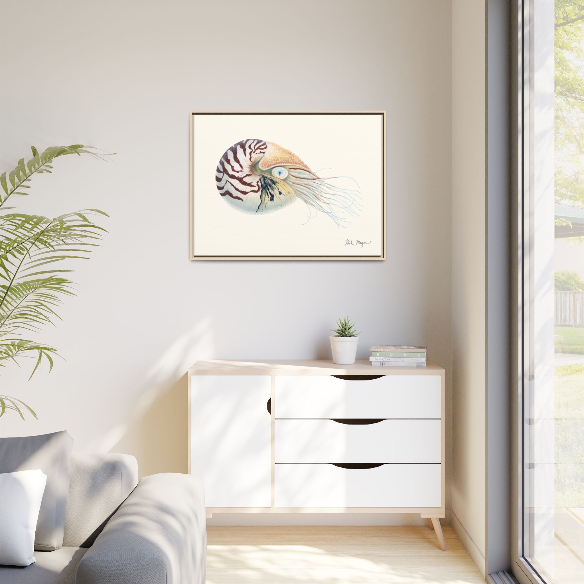 Chambered Nautilus Framed Canvas Print Printify