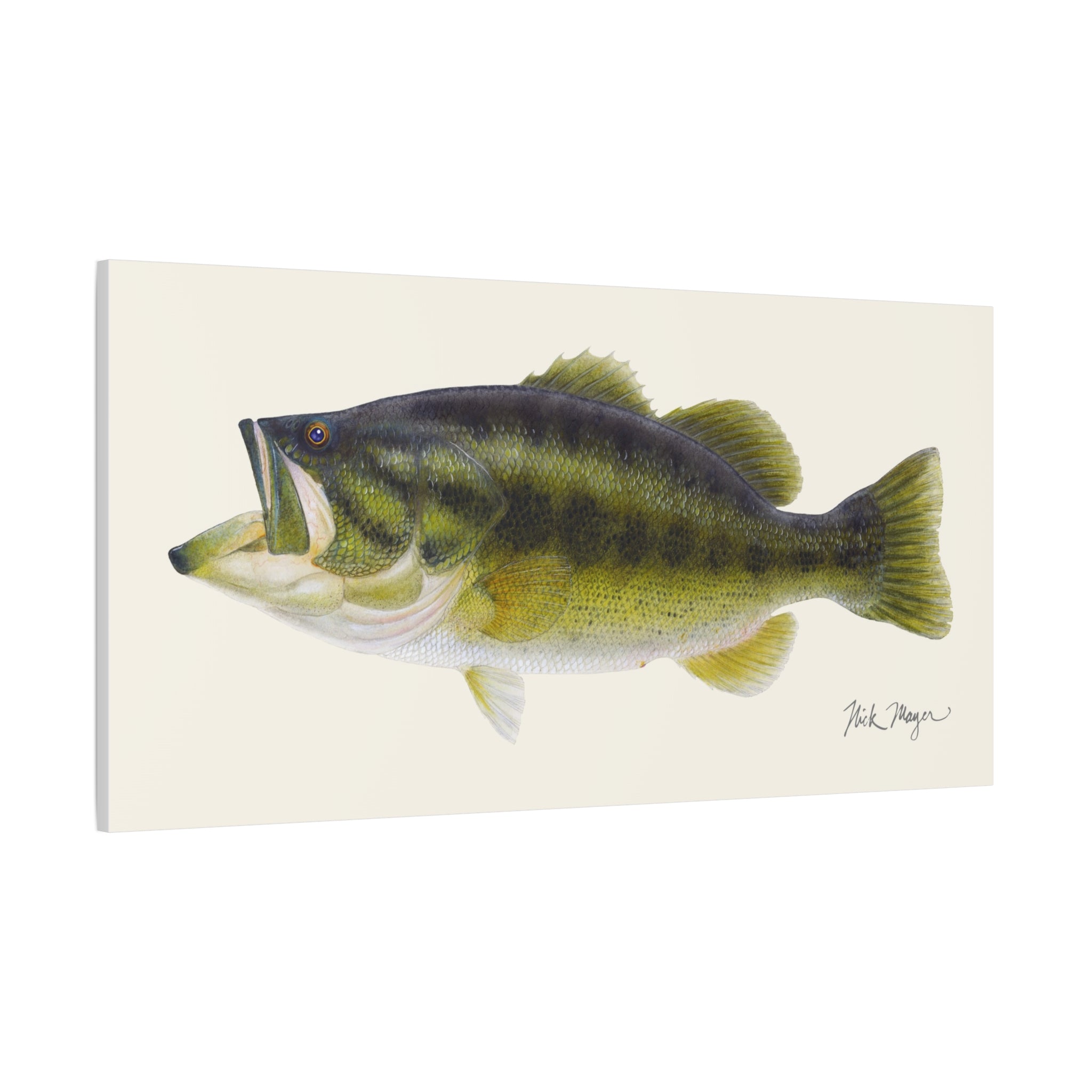 Largemouth Bass I Canvas Print