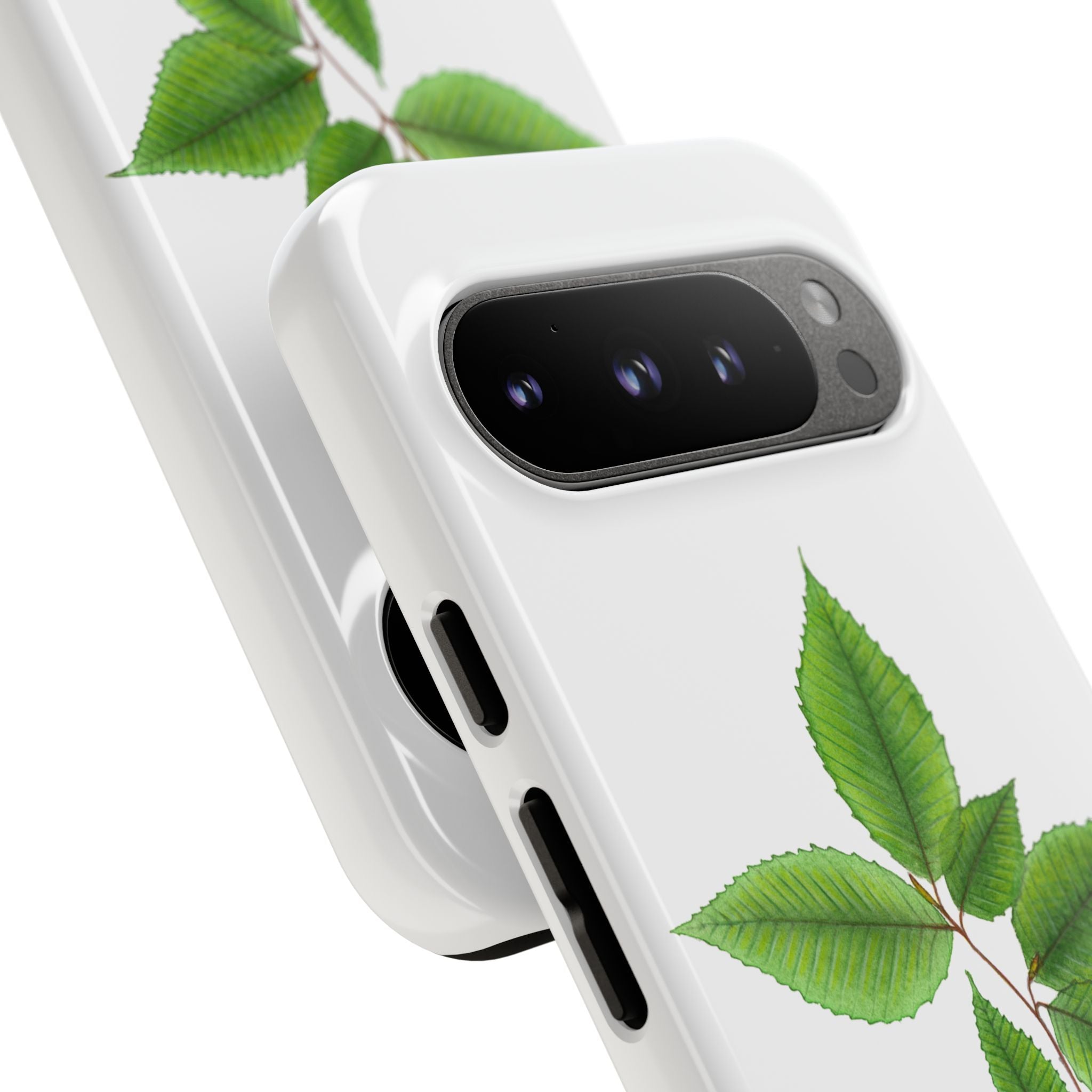 American Beech Phone Case (Samsung)