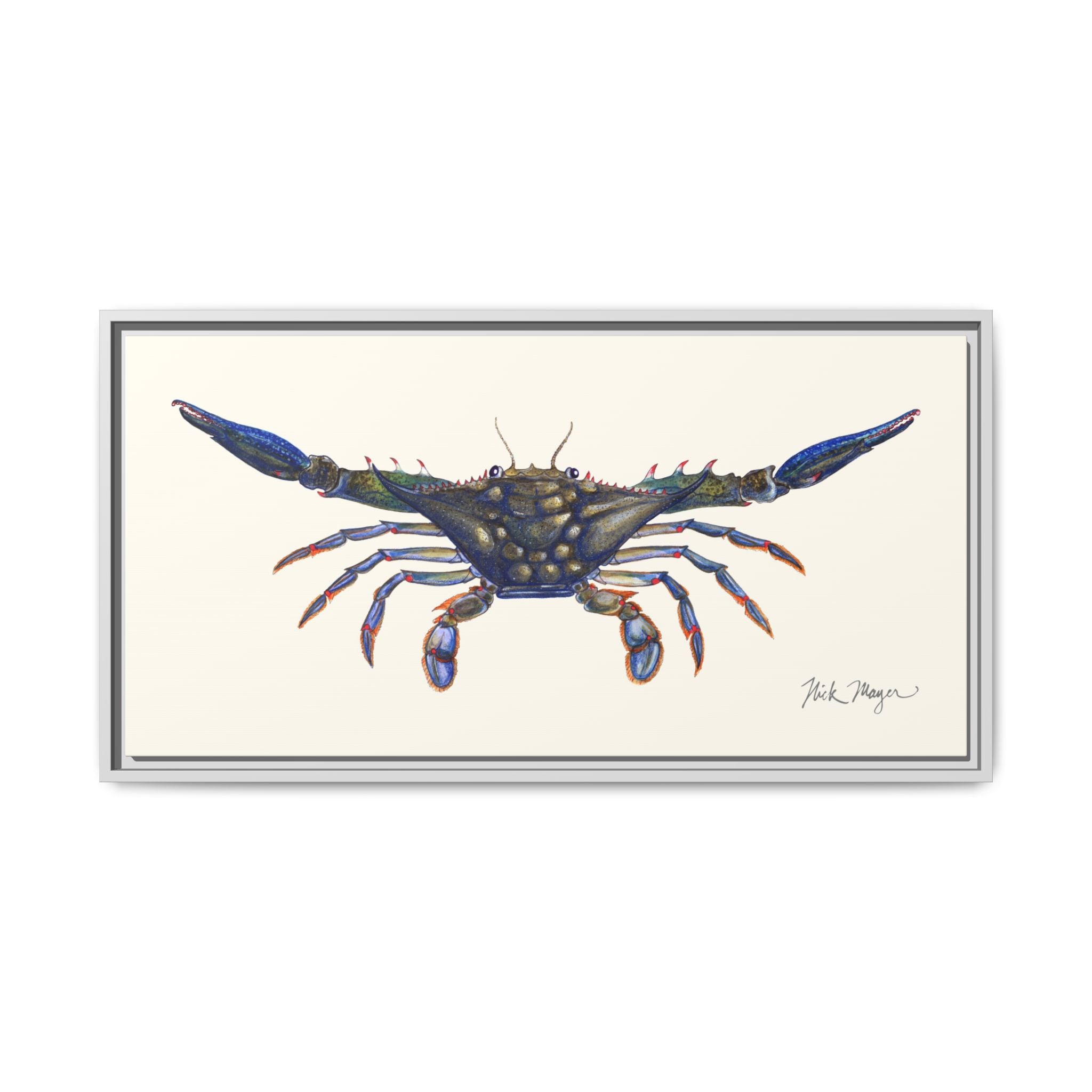 Blue Crab, Claws Out Framed Canvas Print Printify