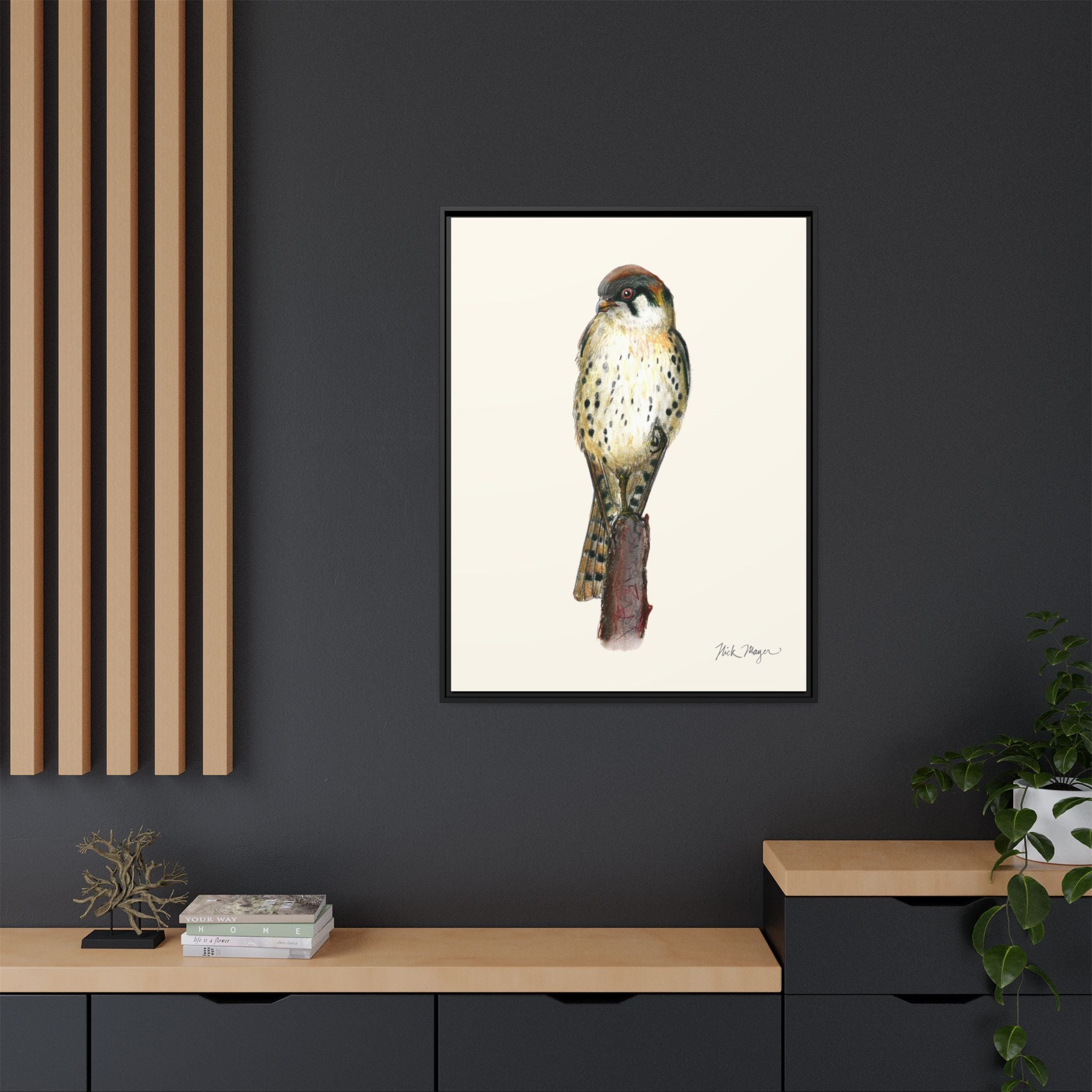 American Kestrel Framed Canvas Print Printify