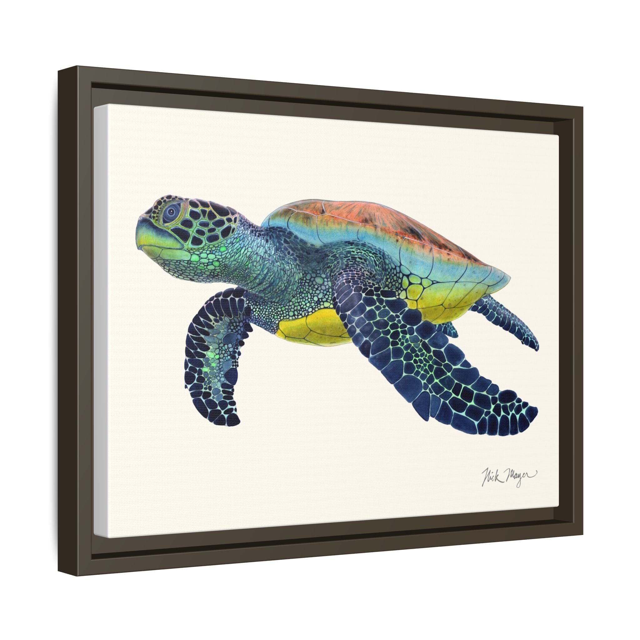 Green Sea Turtle II Framed Canvas Print