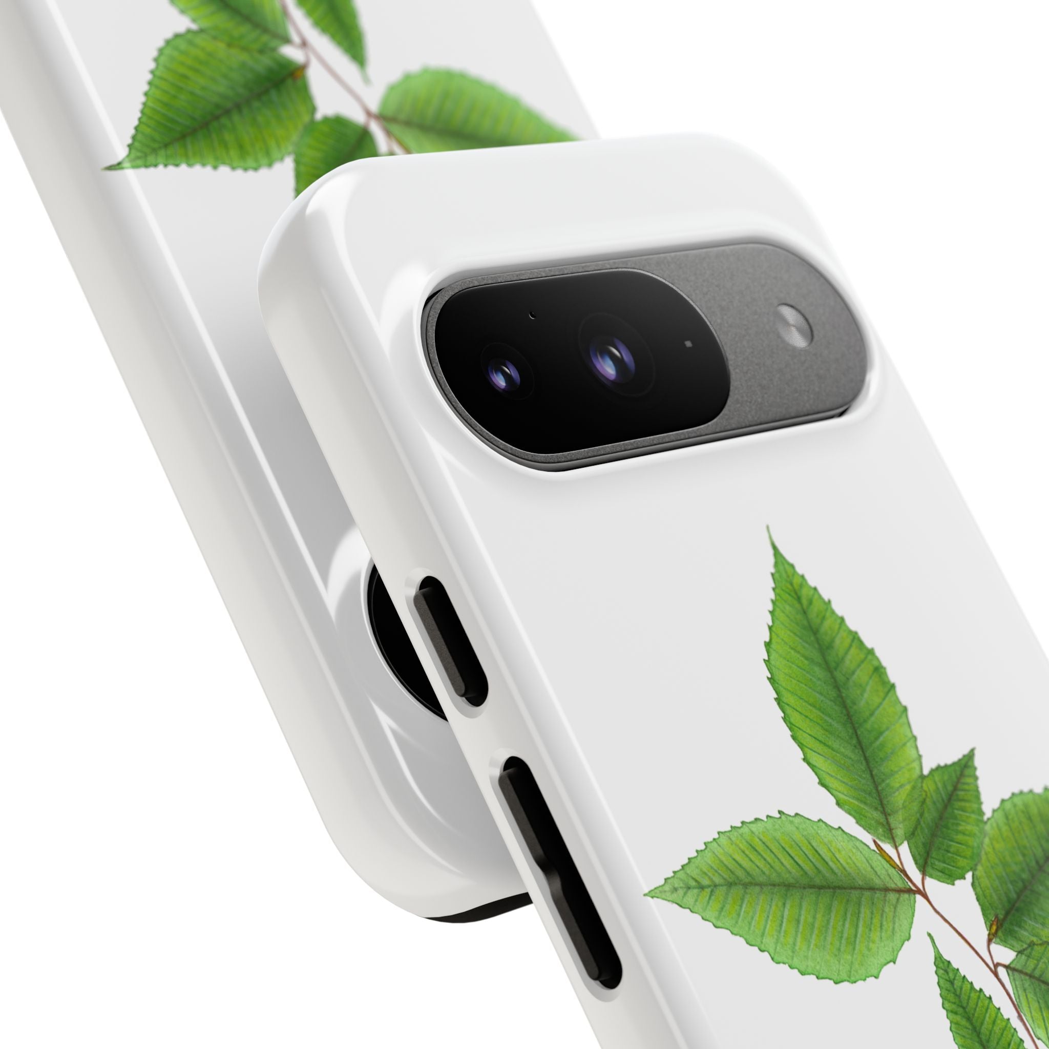 American Beech Phone Case (Samsung)