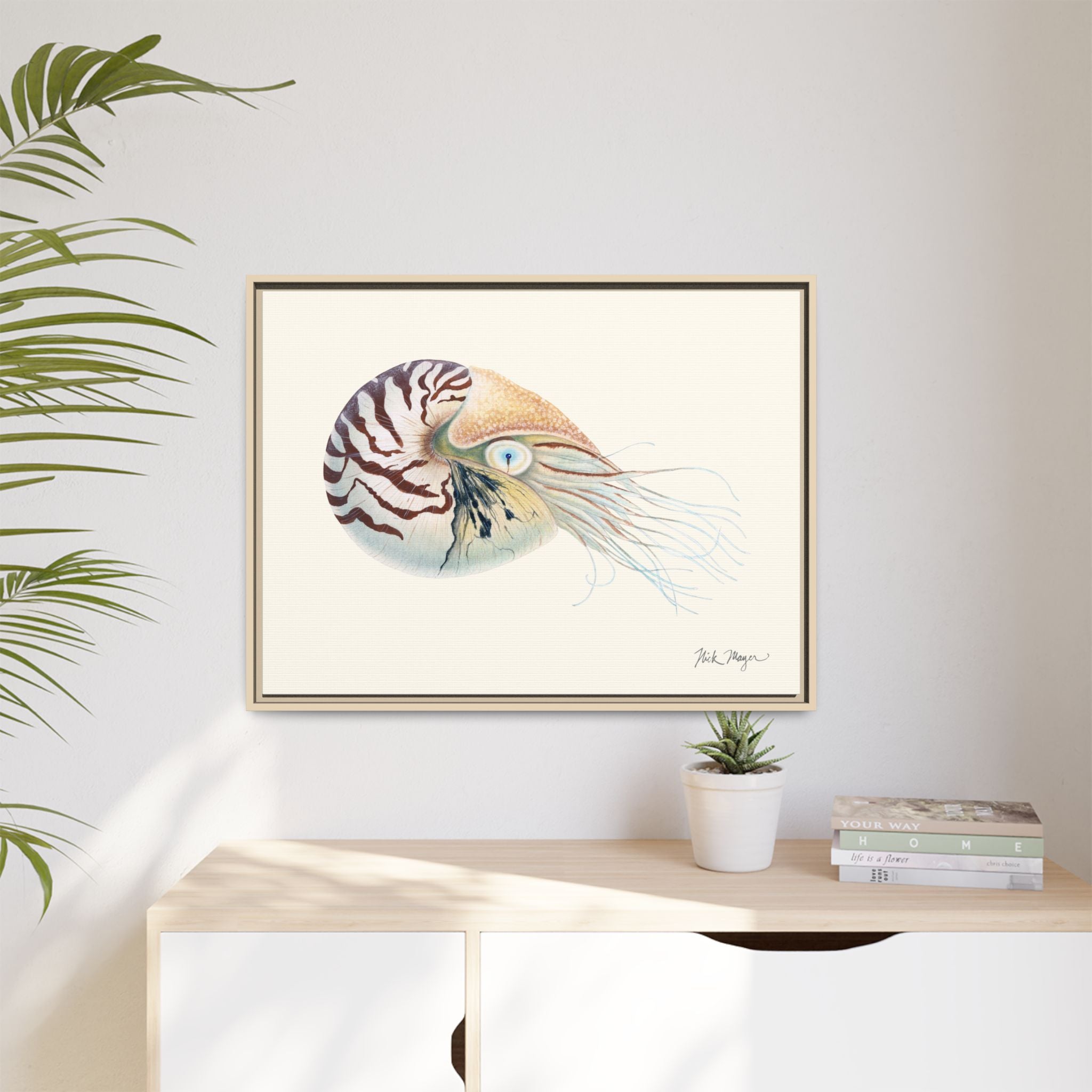 Chambered Nautilus Framed Canvas Print Printify