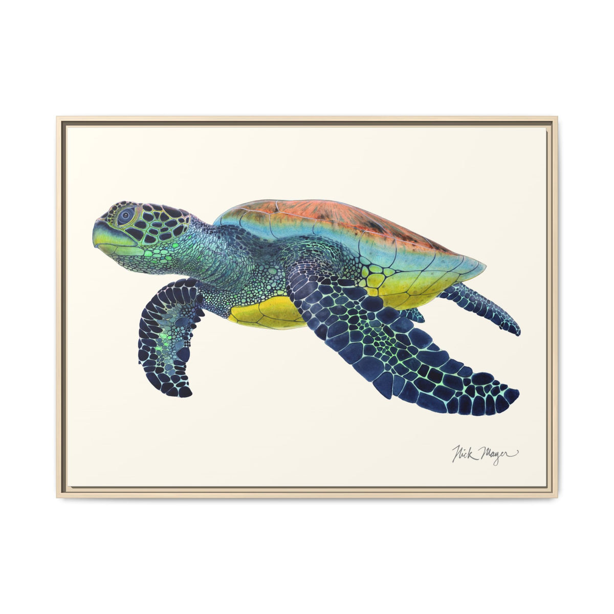 Green Sea Turtle II Framed Canvas Print Printify