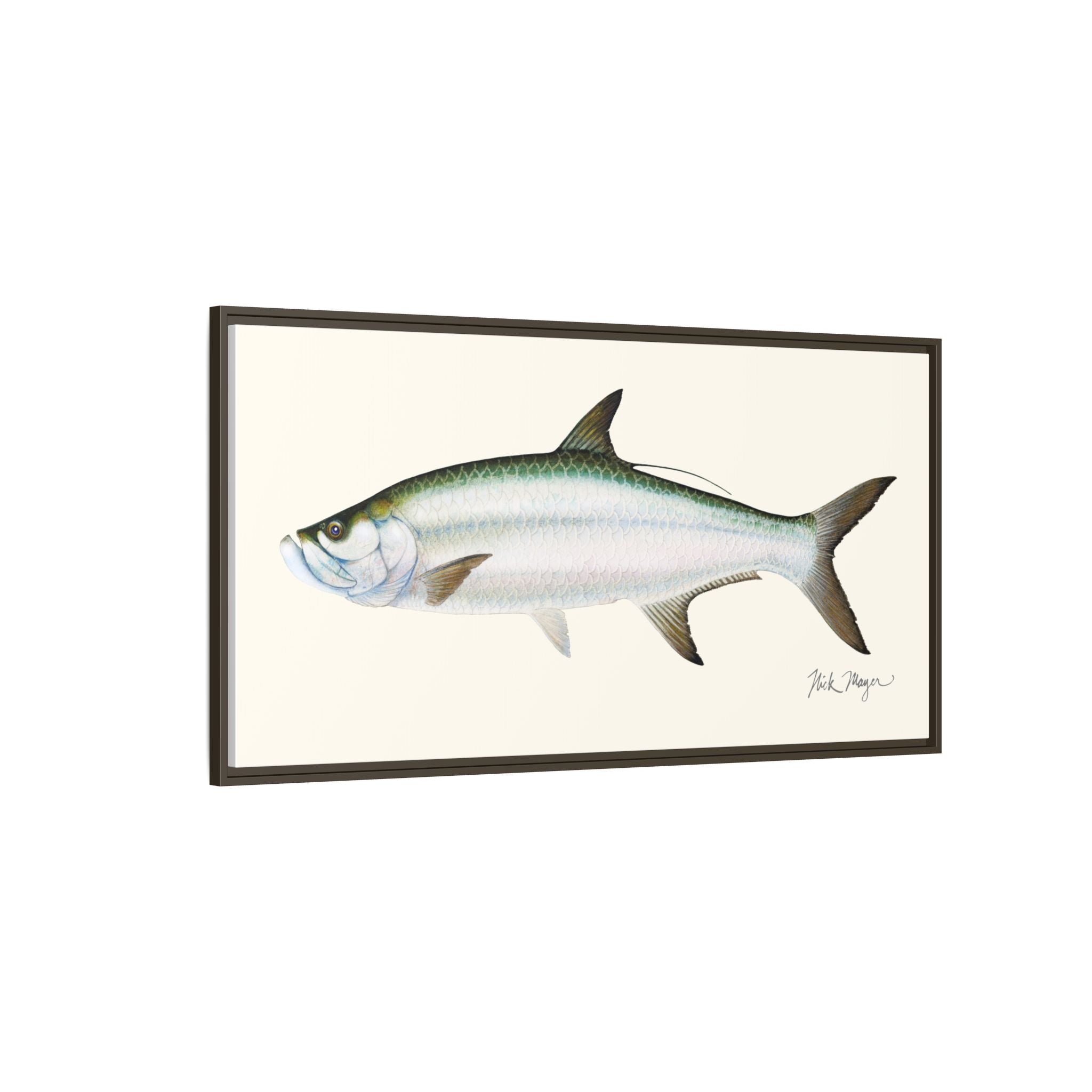 Tarpon Framed Canvas Print Printify