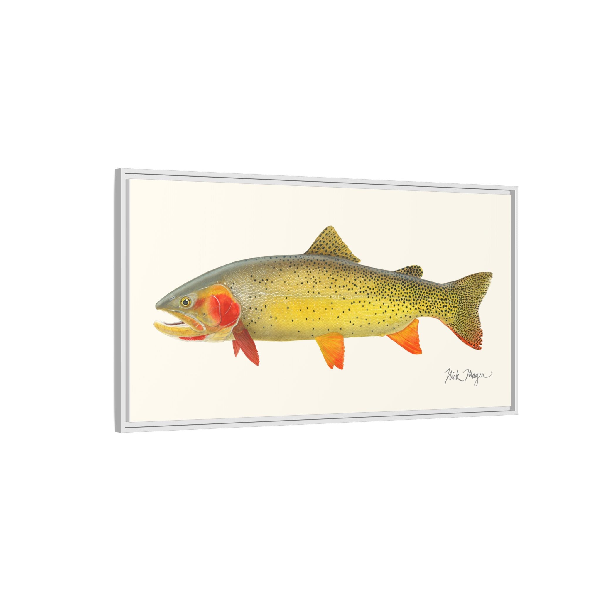 Cutthroat Trout I Framed Canvas Print Printify