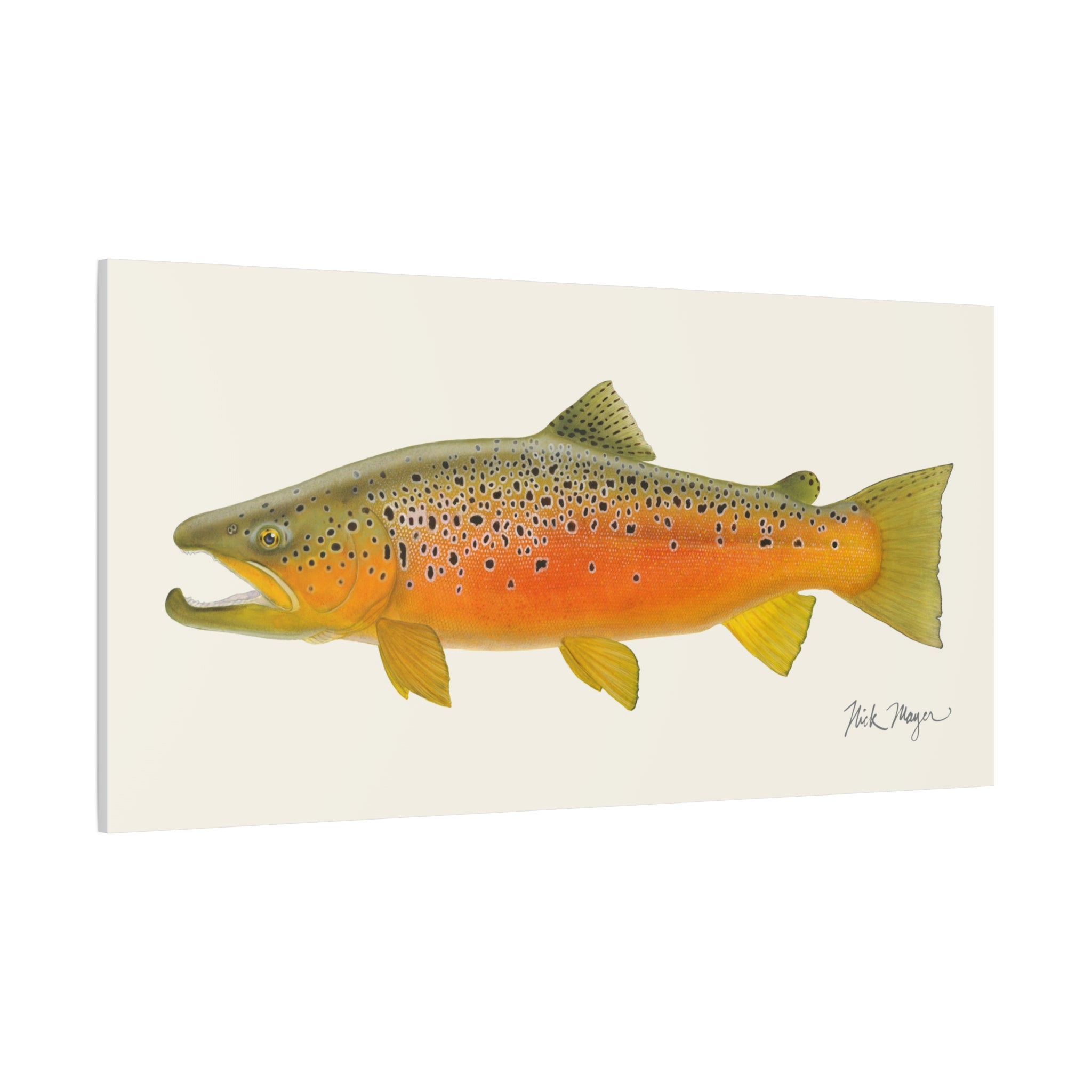 Brown Trout II Canvas Print, NEW for Holiday 2025!
