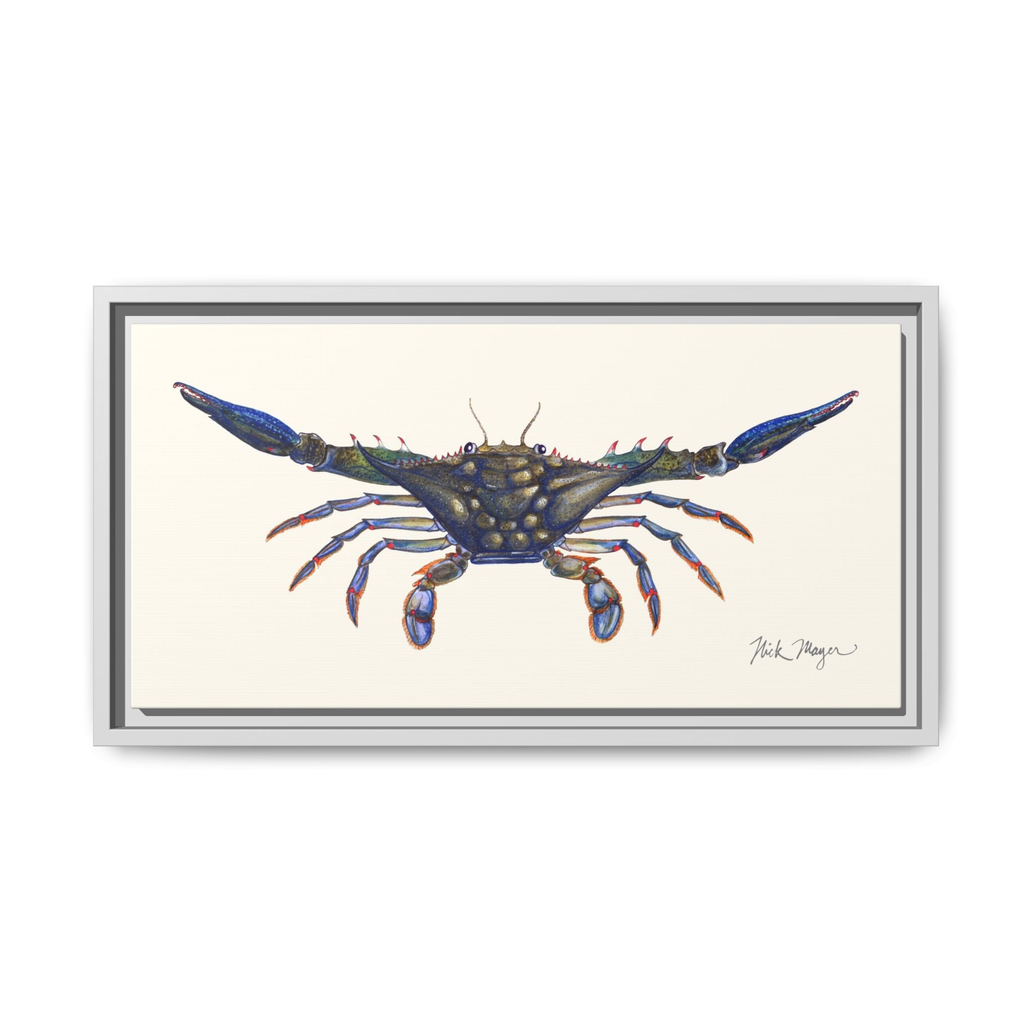 Blue Crab, Claws Out Framed Canvas Print Printify