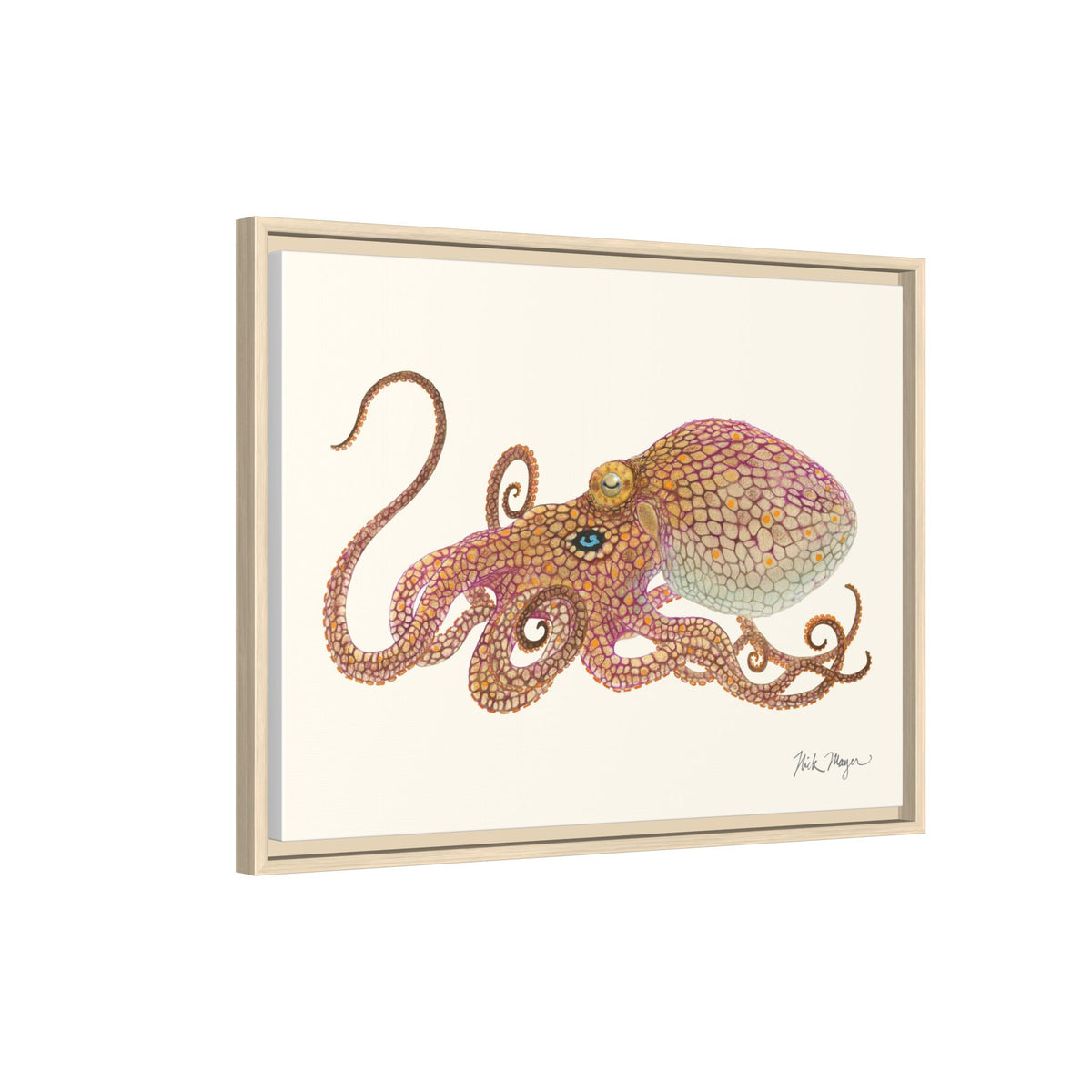 Two Spot Octopus Framed Canvas Print Printify